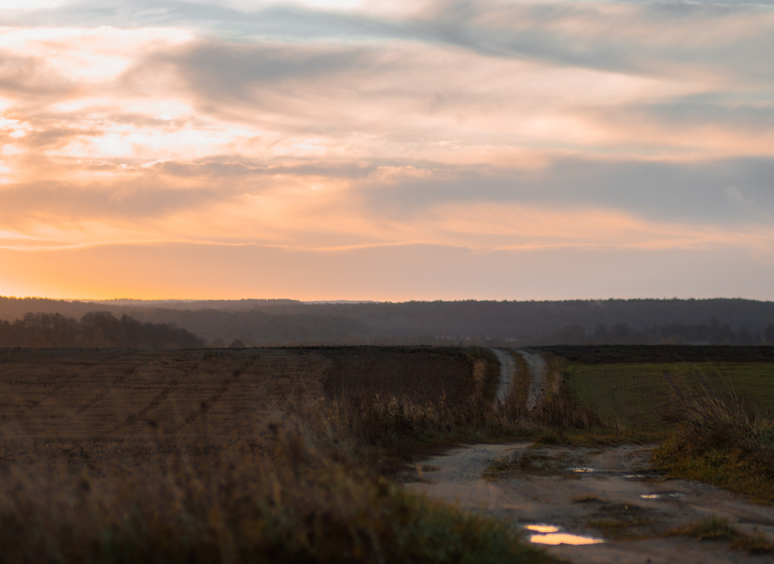 Landscape. Portrait and Street photographer in Vilnius Edgar Shaipunas