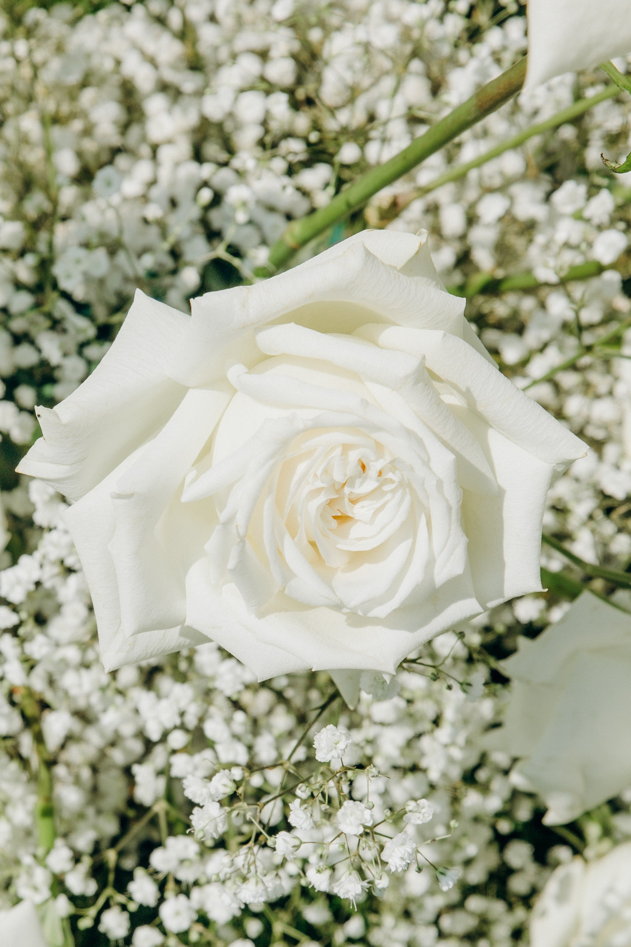 Wedding moments at Na Kmine