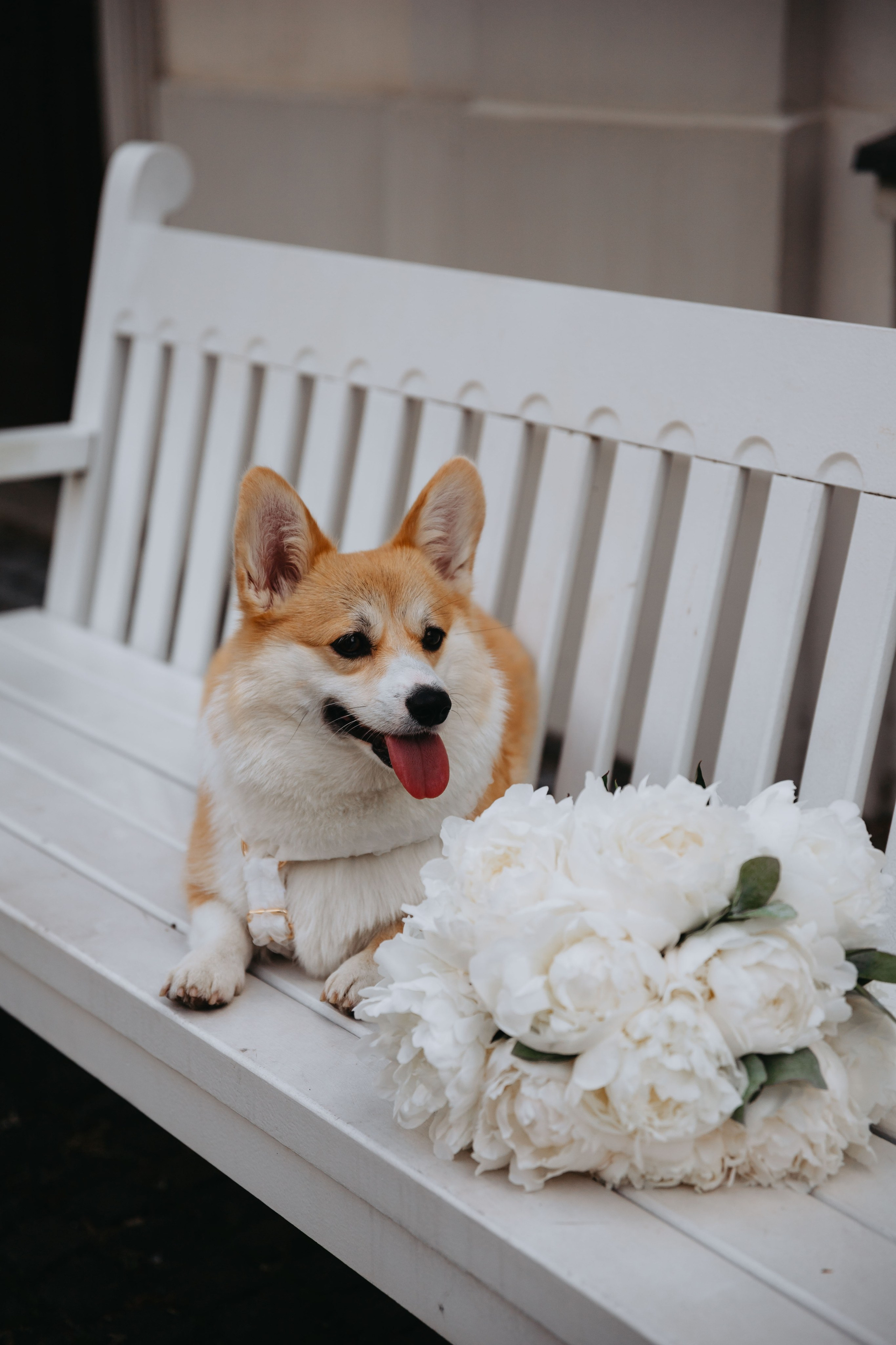 Julia&Mikołaj wedding day