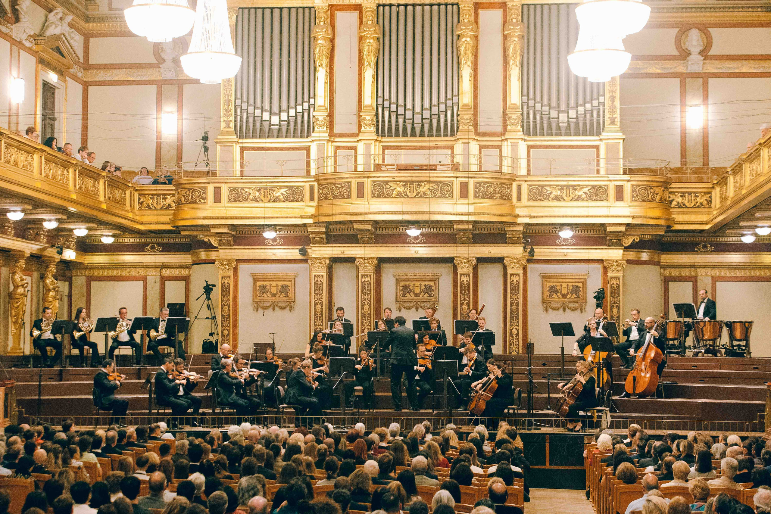 MUSIKVEREIN (VIENNA). Wedding&Event photographer Ismail Rzayev in Baku