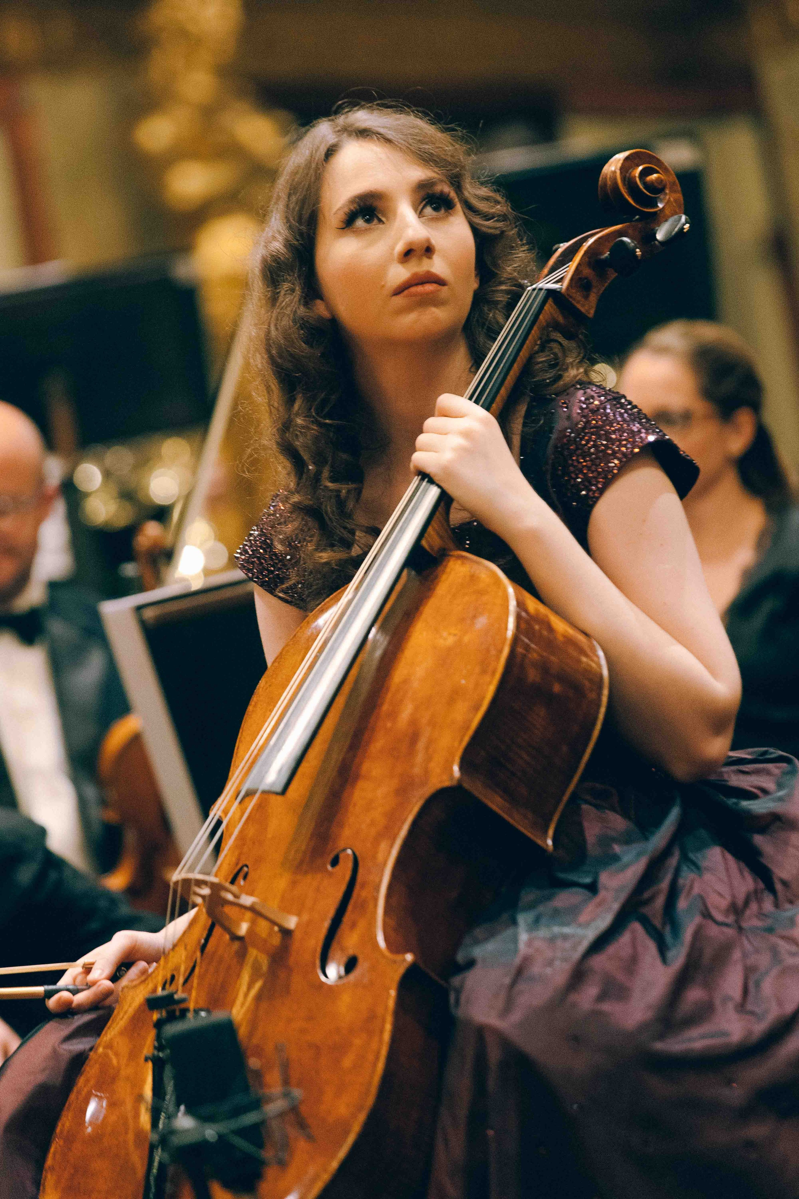 MUSIKVEREIN (VIENNA). Wedding&Event photographer Ismail Rzayev in Baku