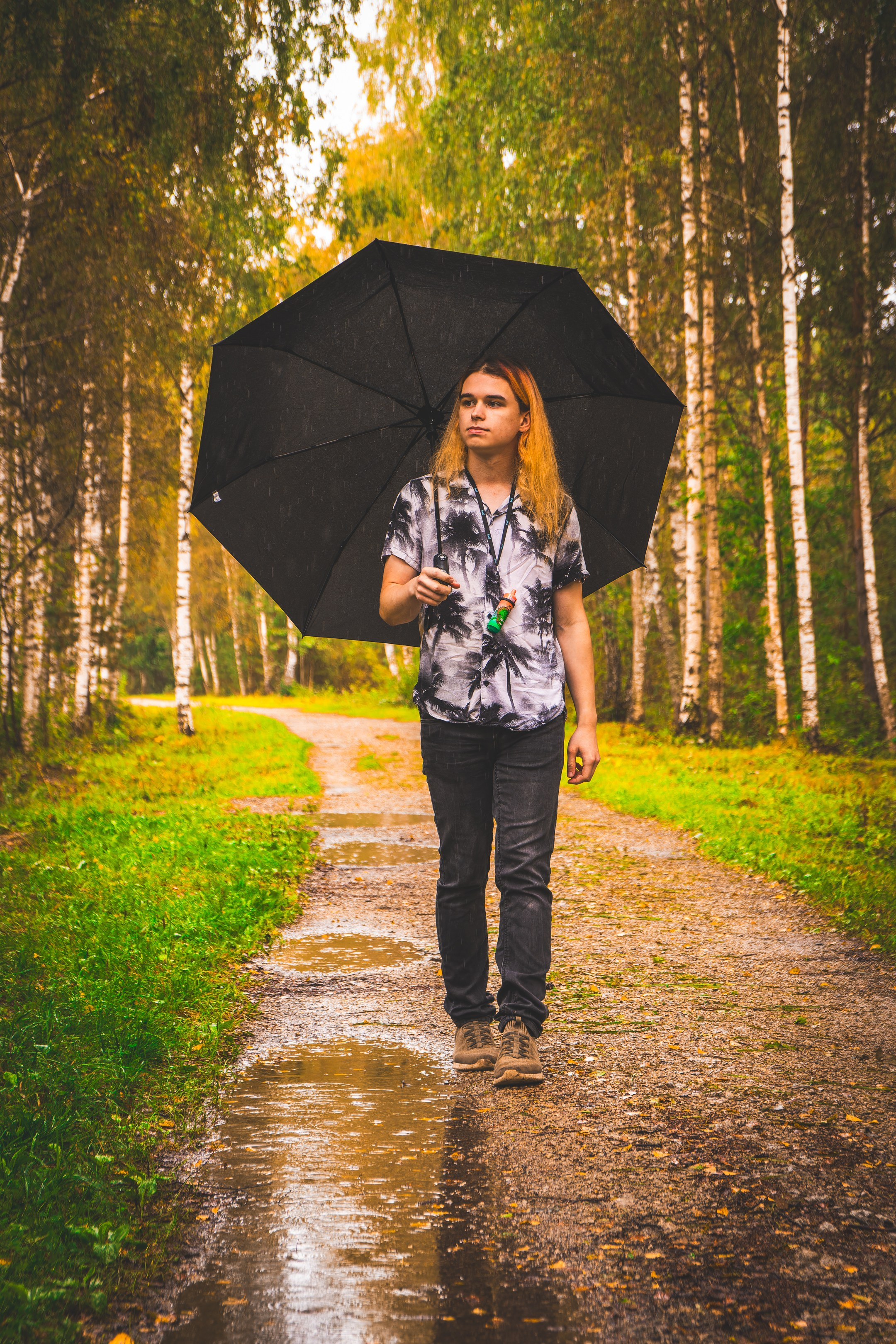 Mets, vihm ja jahedus (Dimitry). Nebula 25 — Fotod teie hingele