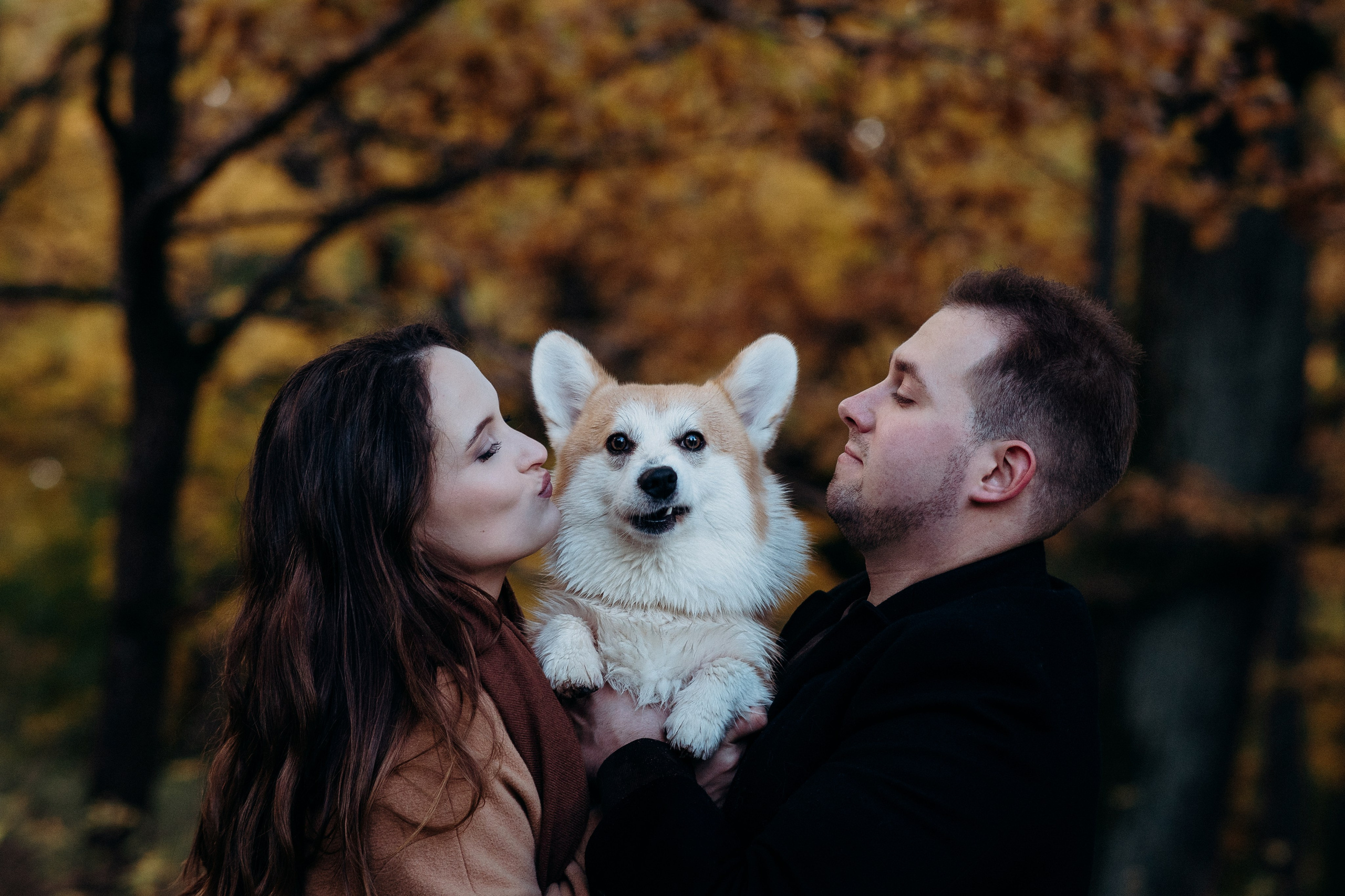 Liisa, Alexander & Marsel. Фотограф-анималист в Таллинне, Катя Лайсаар