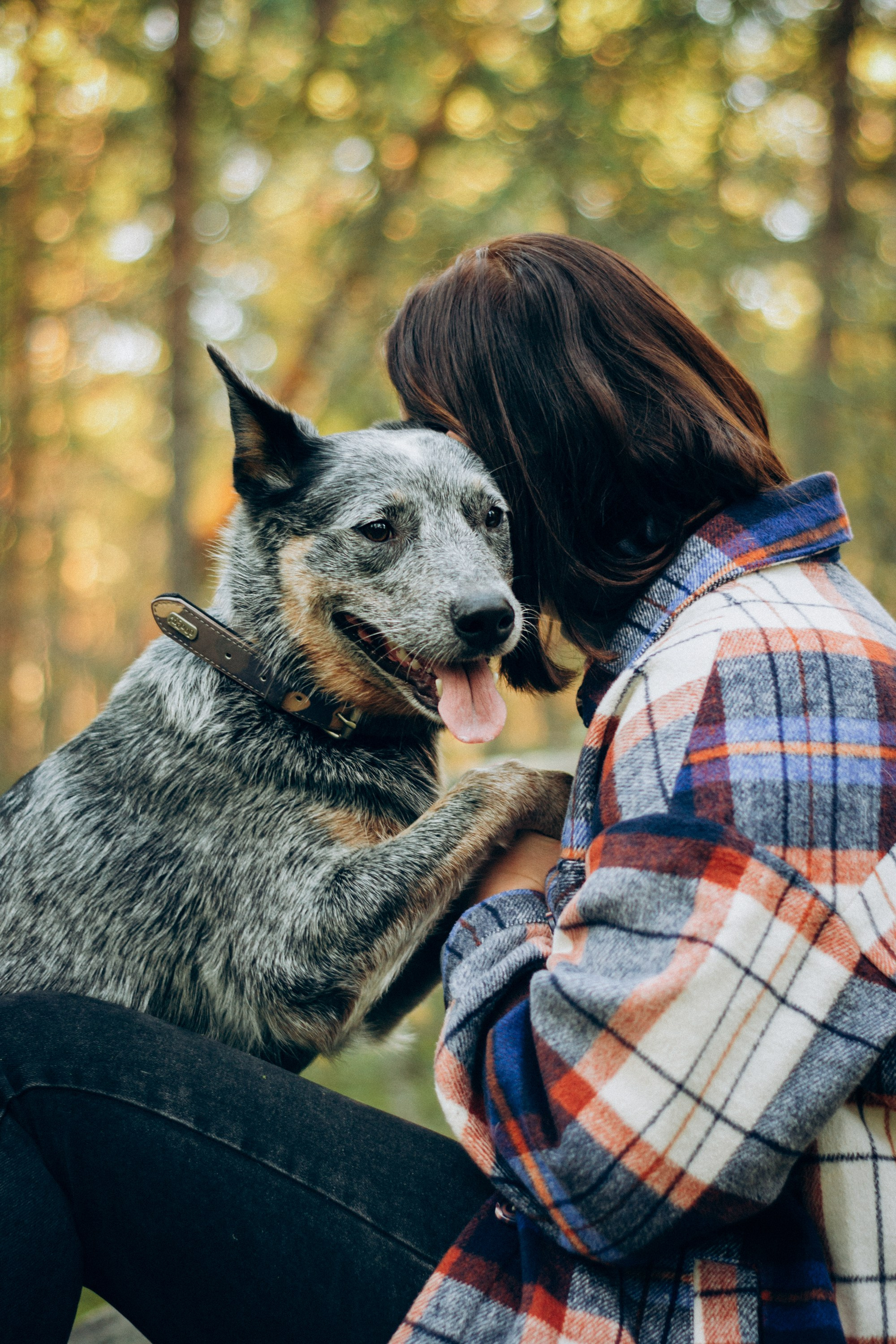 Polina and her Dakota, Blue Heeler. Kat Laisaar — Pet photographer in Tallinn
