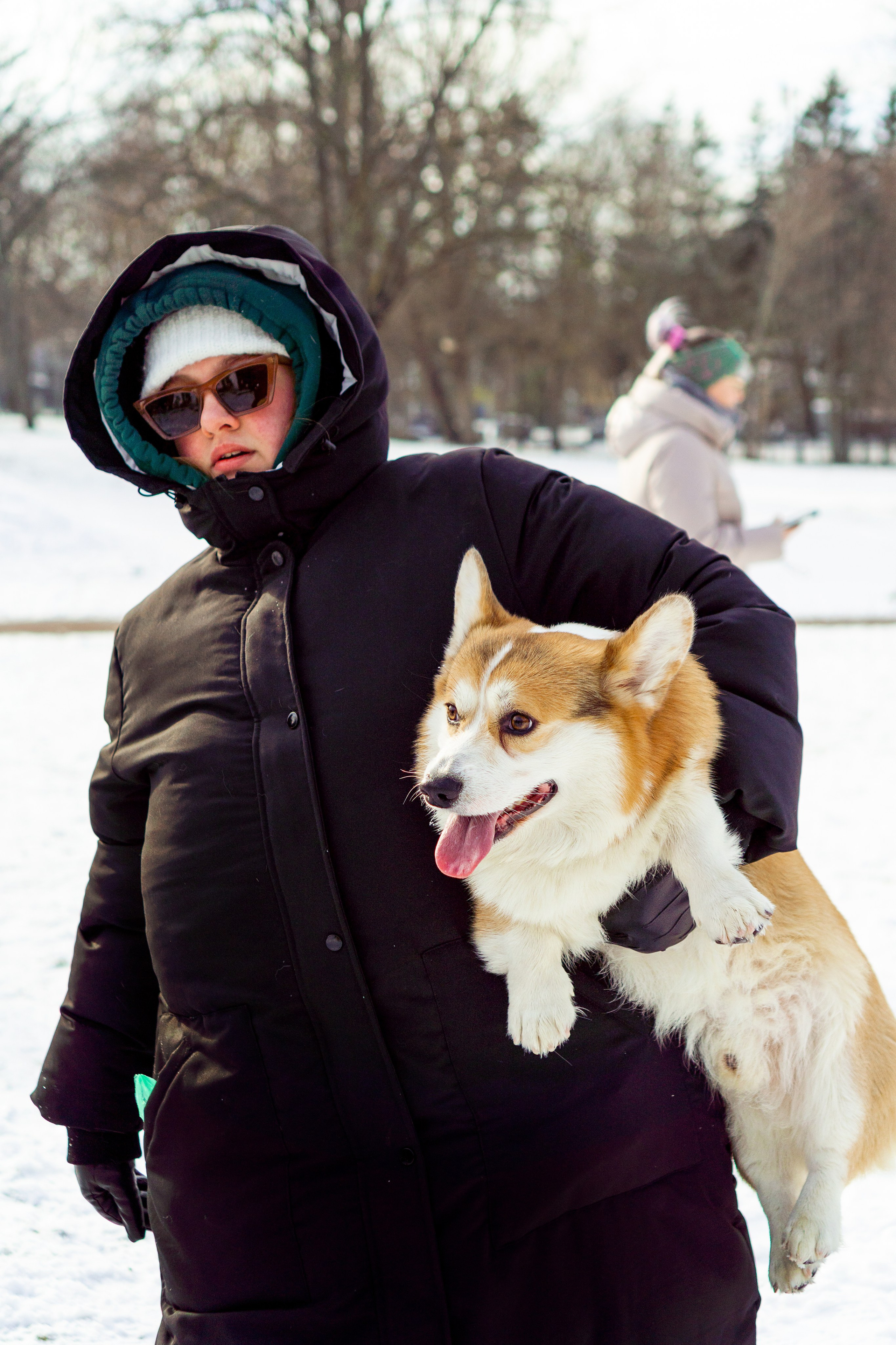 Corgi party, 23 feb. 2025. Kat Laisaar — Pet photographer in Tallinn