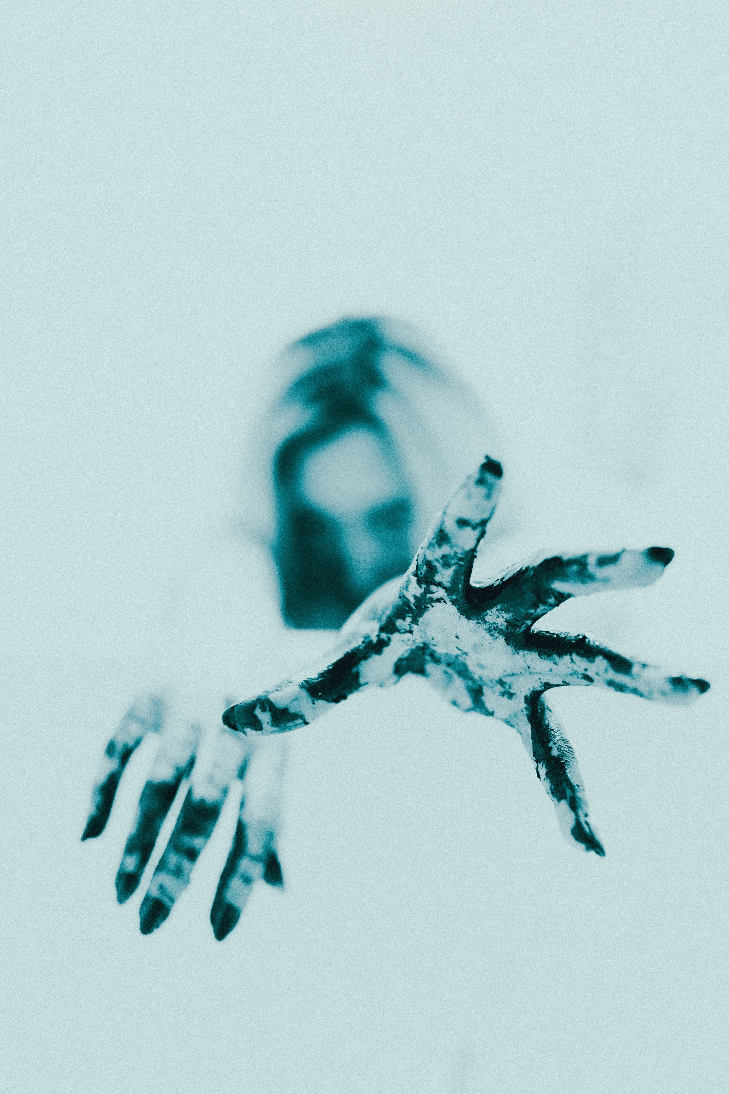 Gallery. Karine Photographer|Videographer