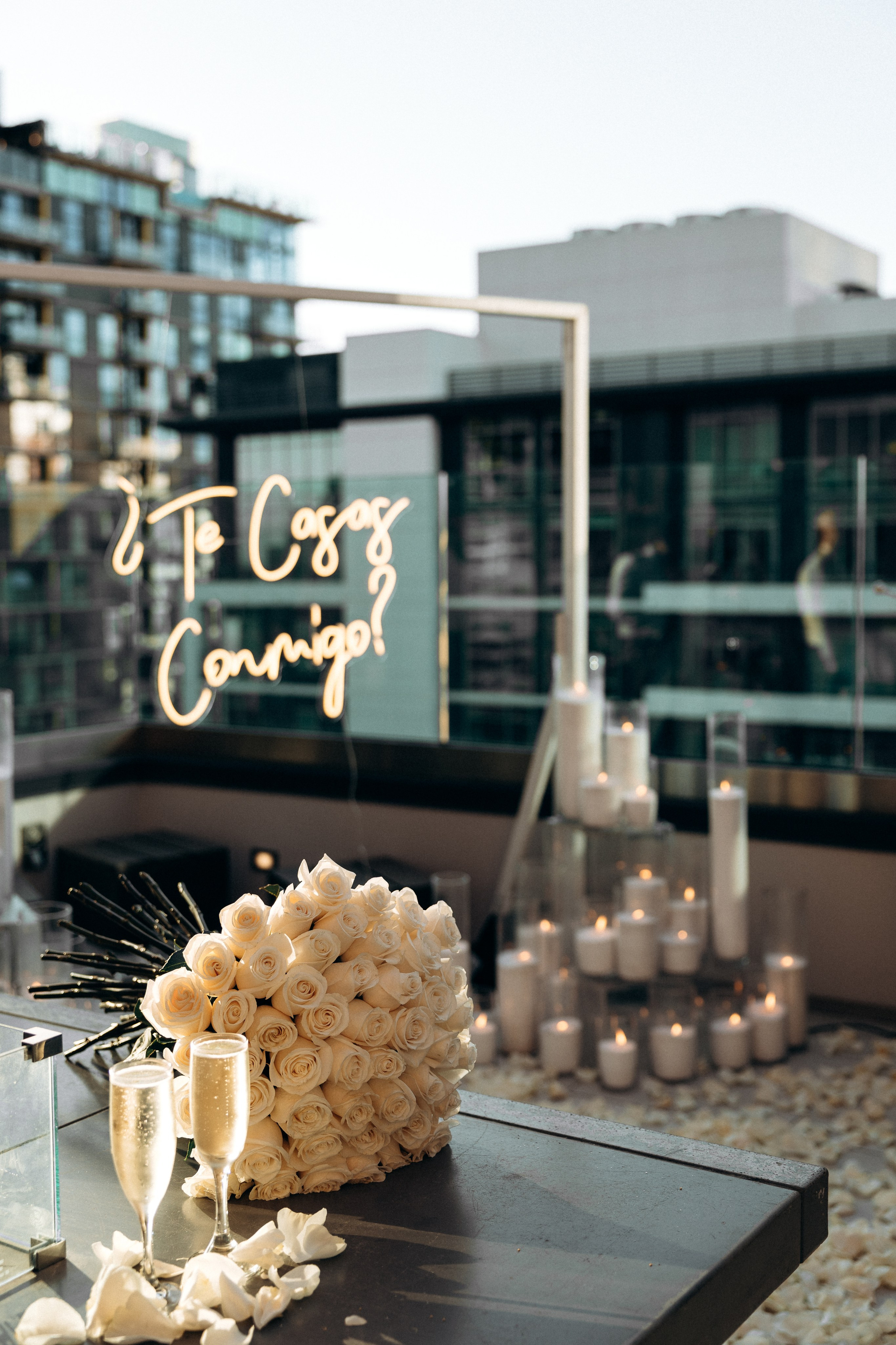 *. Wedding and family photographer San Diego