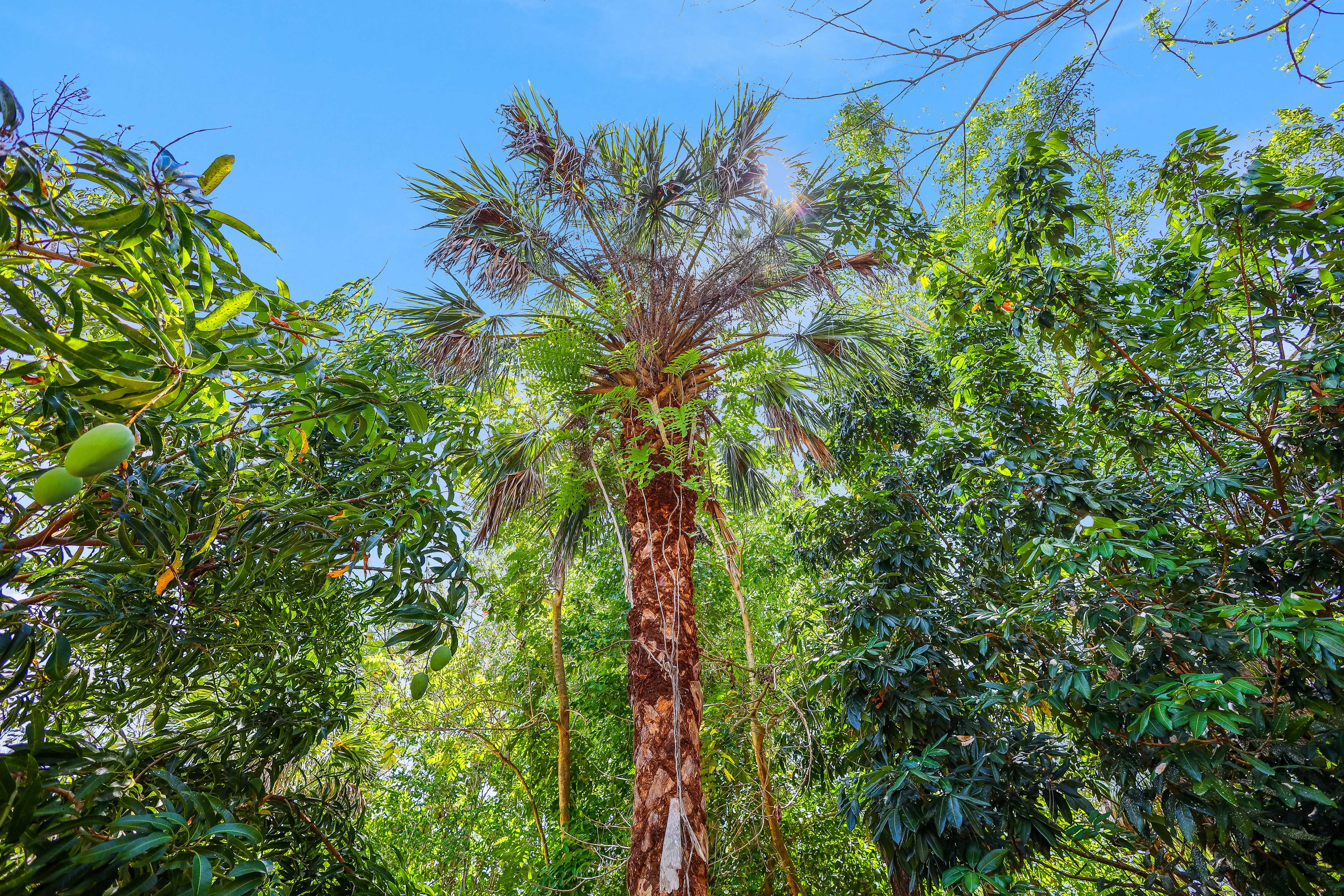 Sample D. Out and About 239