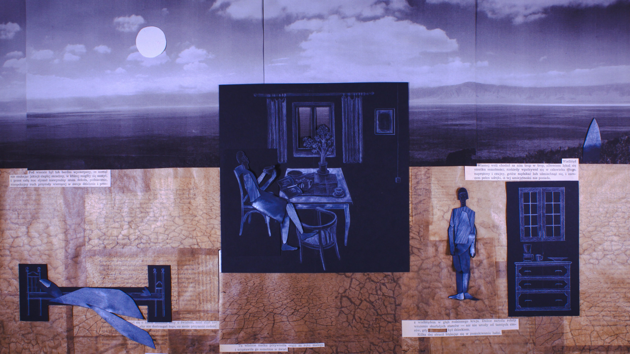 Animations. Artist, photographer, graphic designer, dreamer