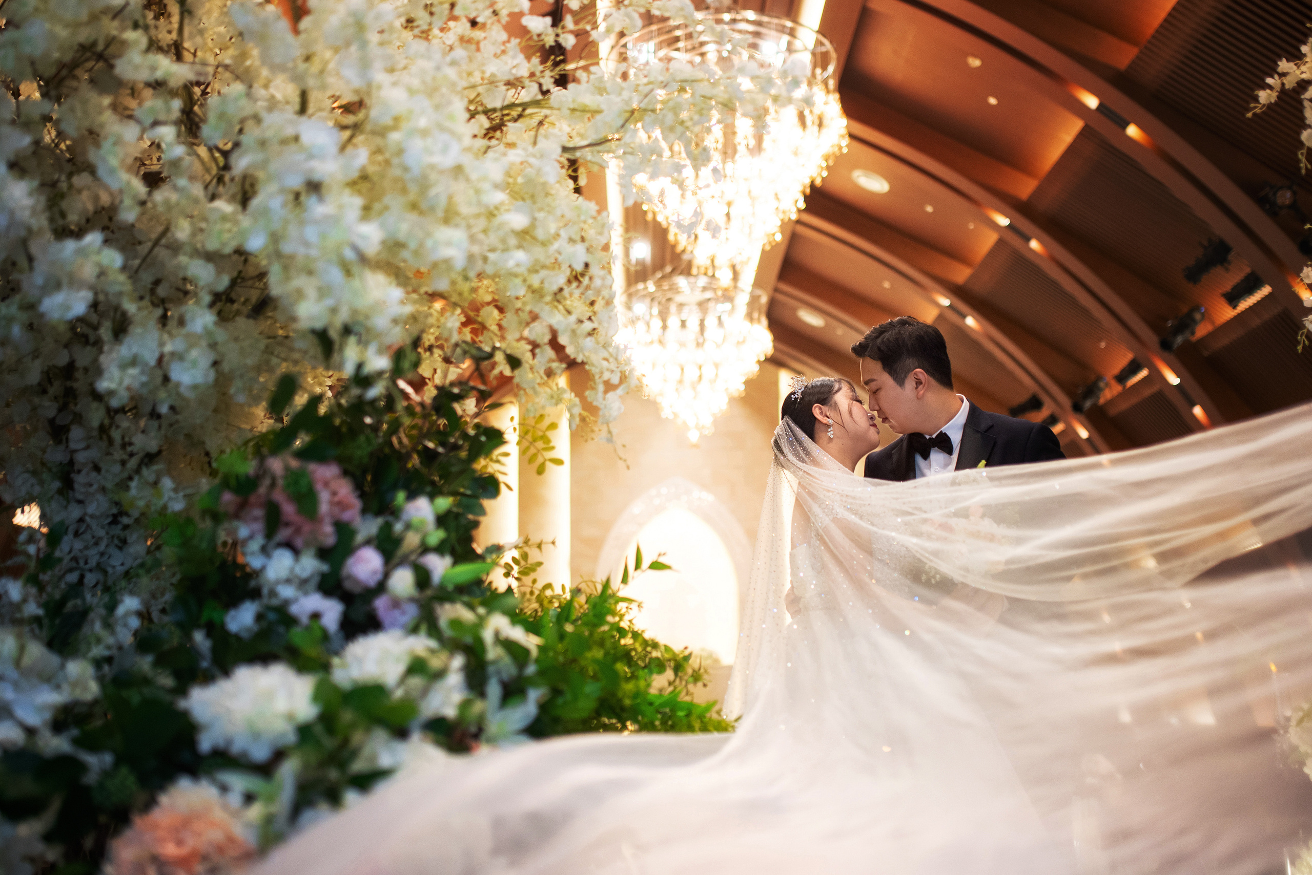 Илья Ким. Илья Ким — Фотограф в Южной Корее