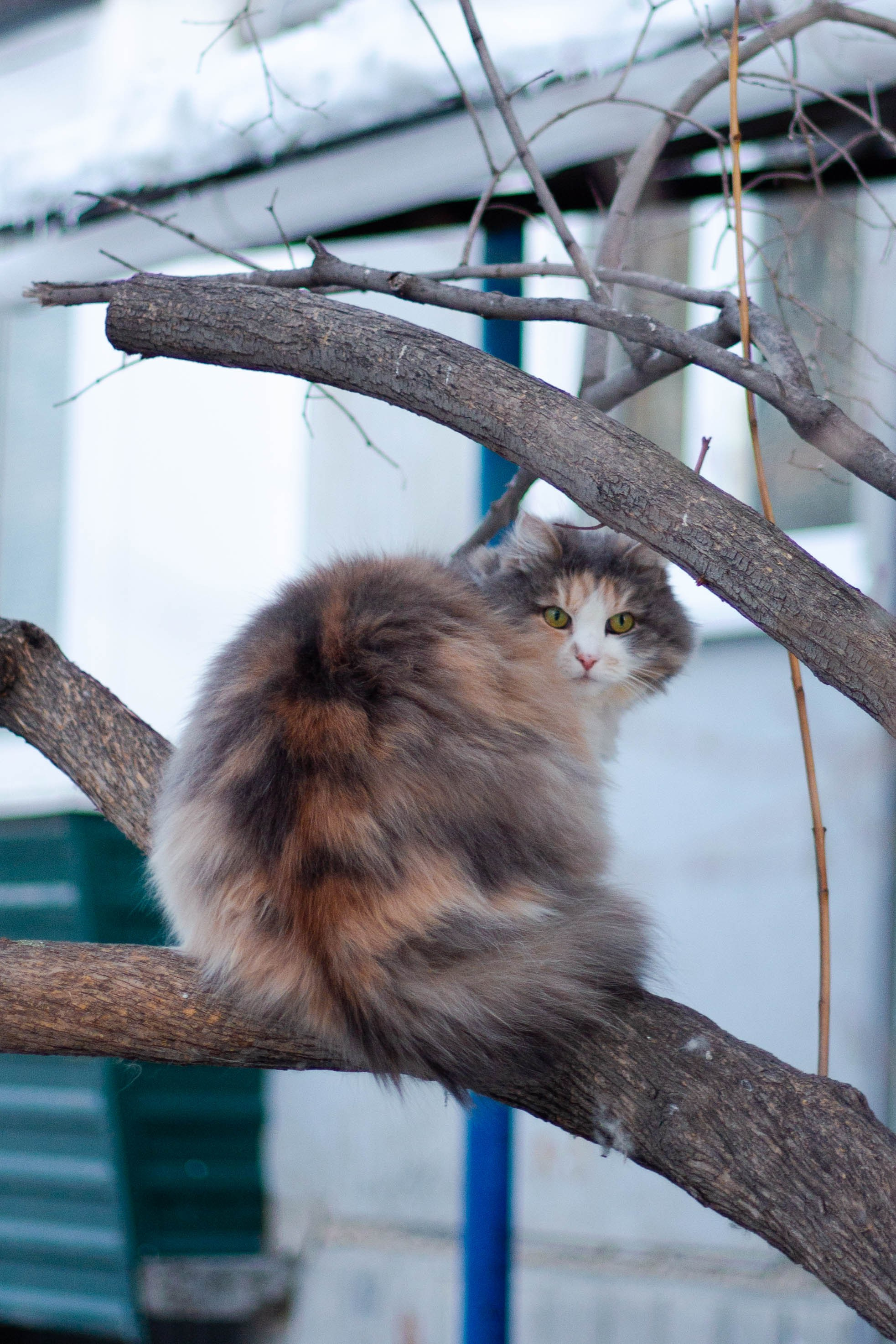 Russia. Look Around You