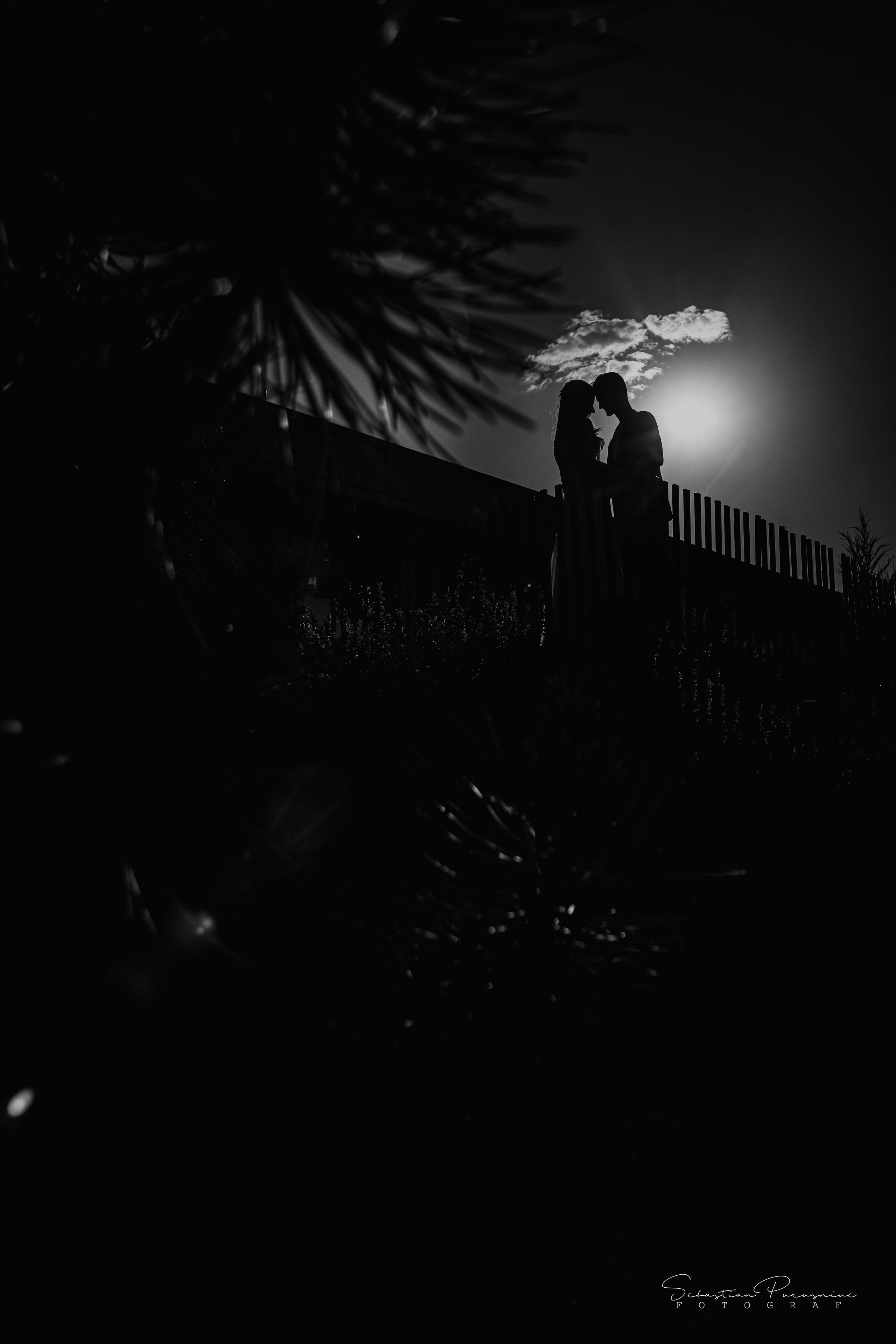 Adelina & Angel. Sebastian Purusniuc Fotograf - Iasi