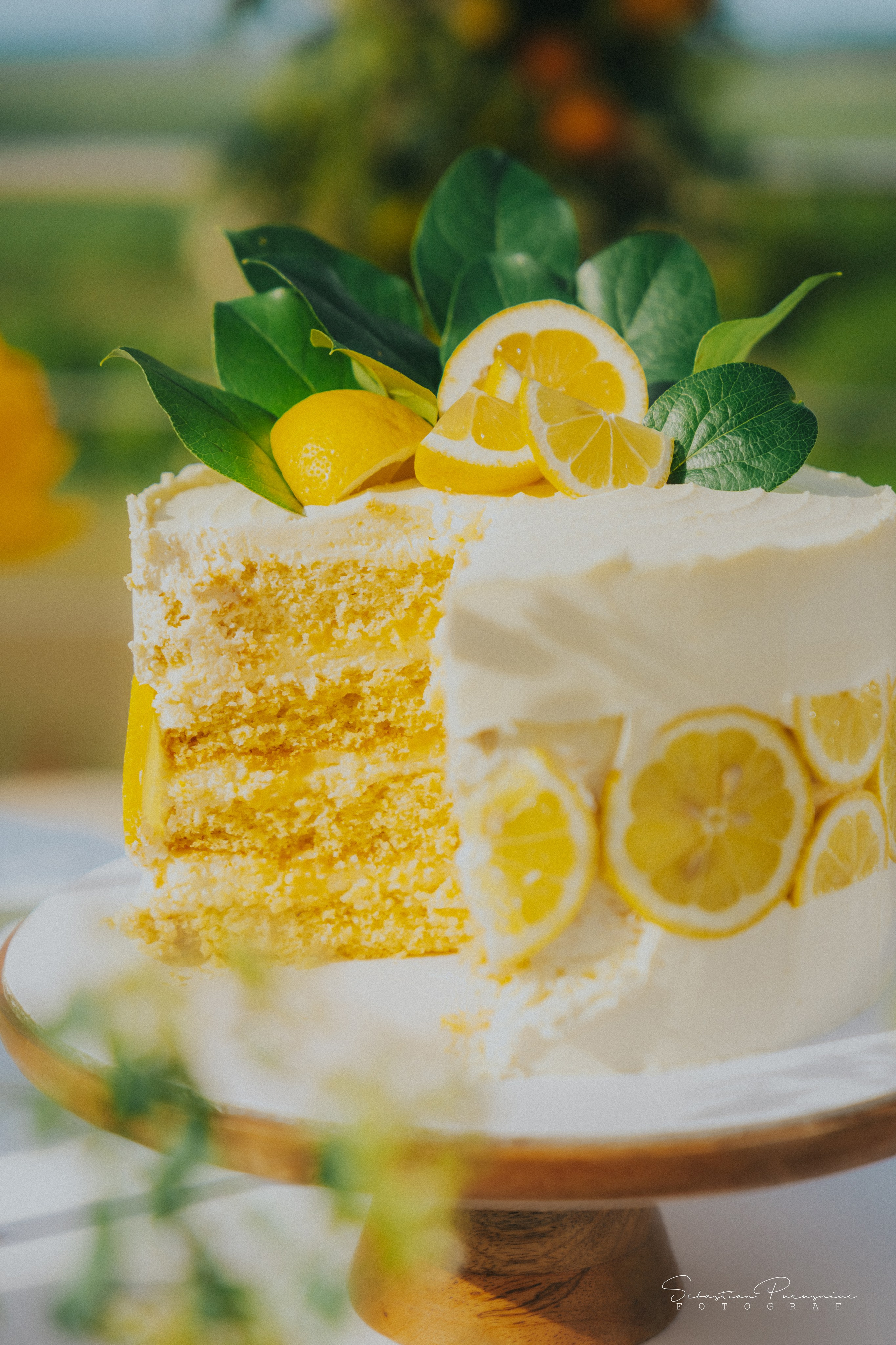 Love & Lemons. Sebastian Purusniuc Fotograf - Iasi