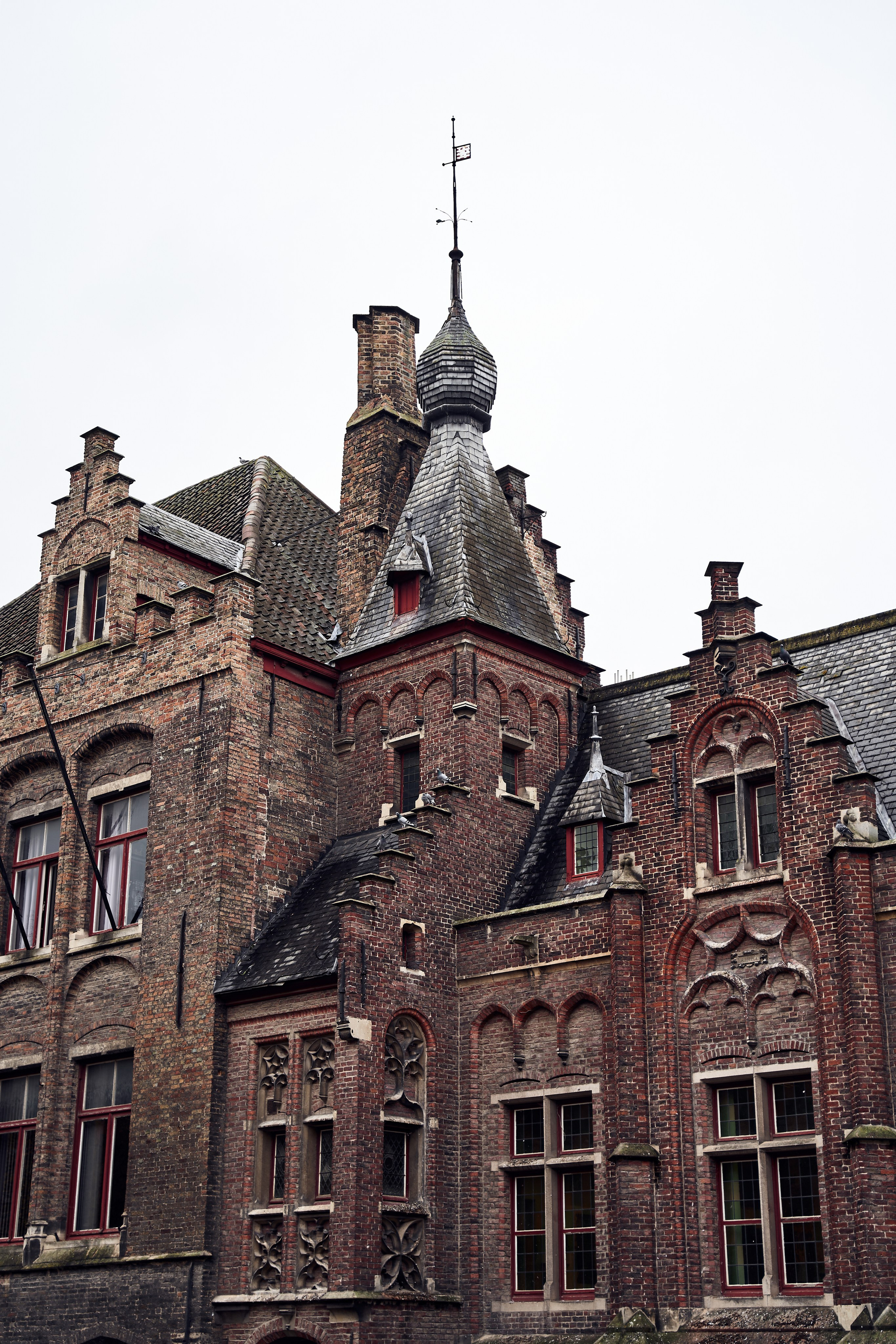 Belgium. Denshyr — Visual Artist