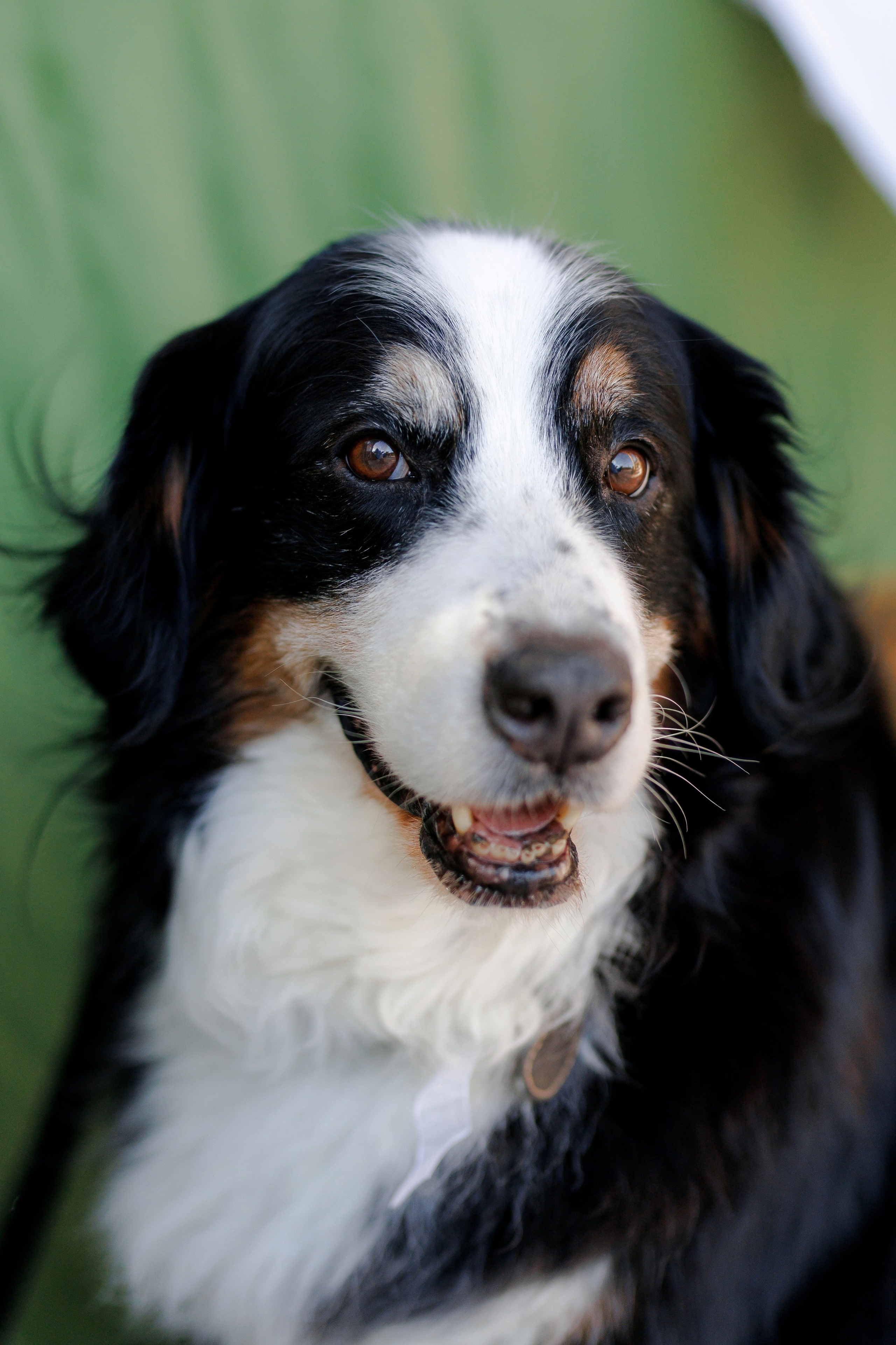 Janina & Wladek. Dworzyszcze Wola. 23.07.2025. Fotograf ślubny i rodzinny w Krakowie Yana Klymova