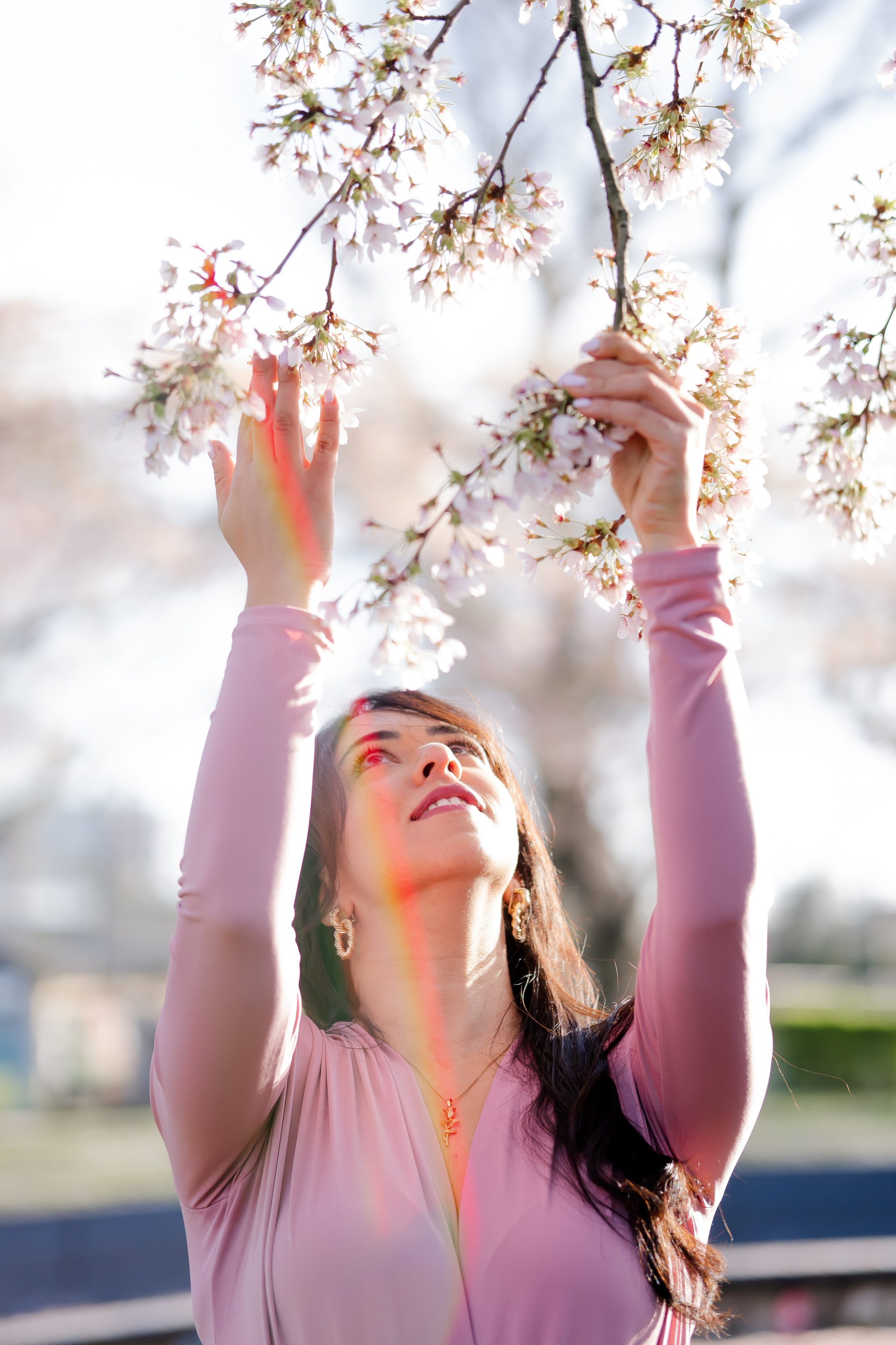 girl holding a cherry blossoms branch