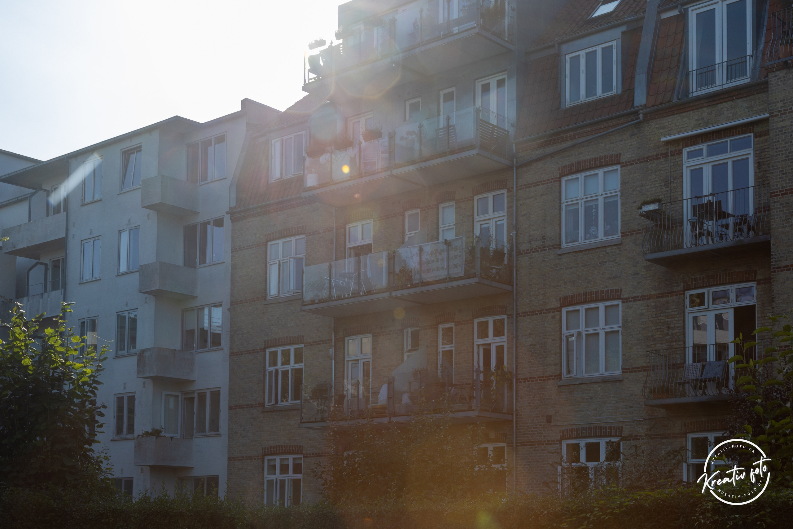 Sommer. Fotograf Aarhus | Portrætfoto Århus | Flotte billeder