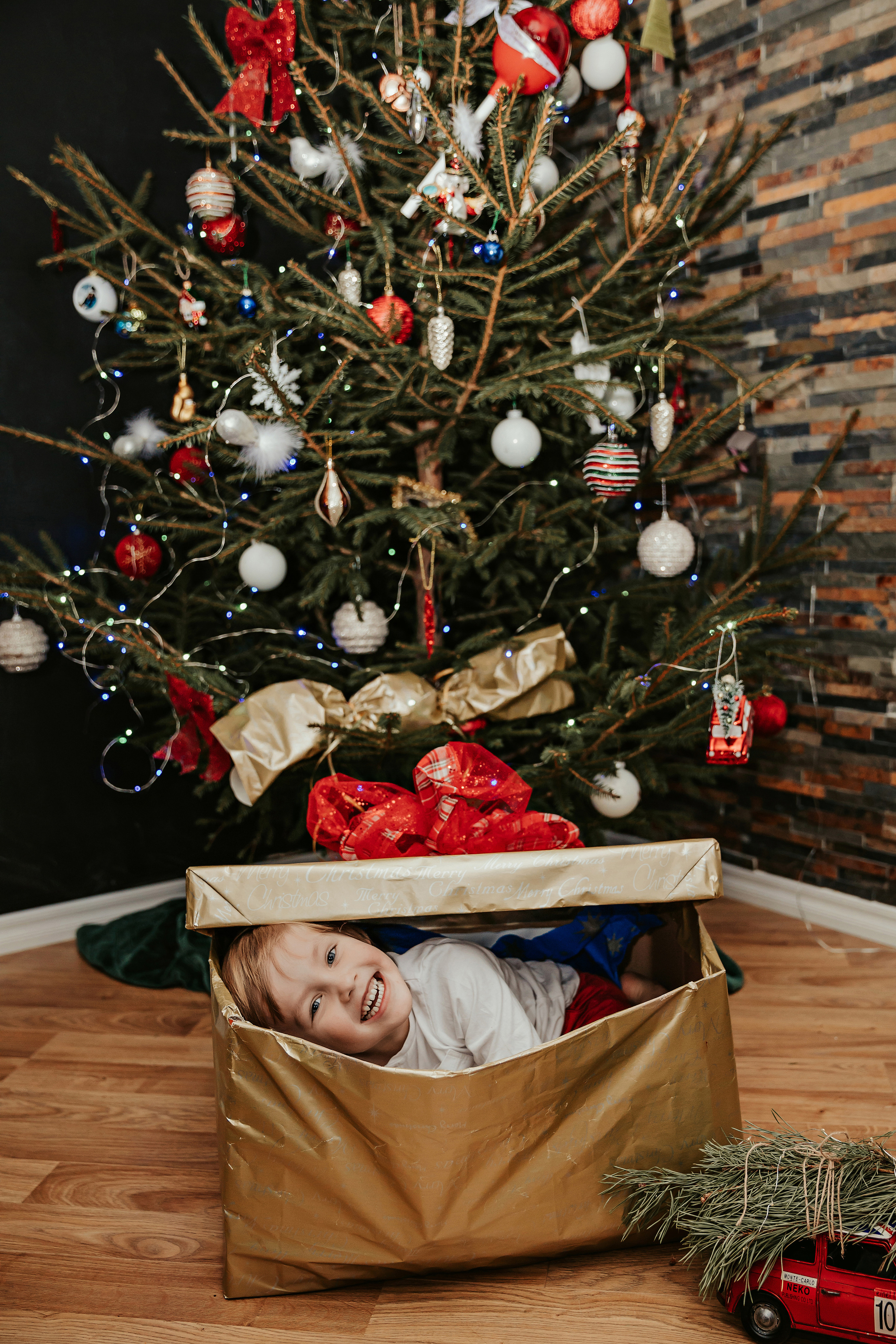 Леон, Бруно и Гвидо. ФОТОГРАФ |ЛАТВИЯ | ДАУГАВПИЛС|