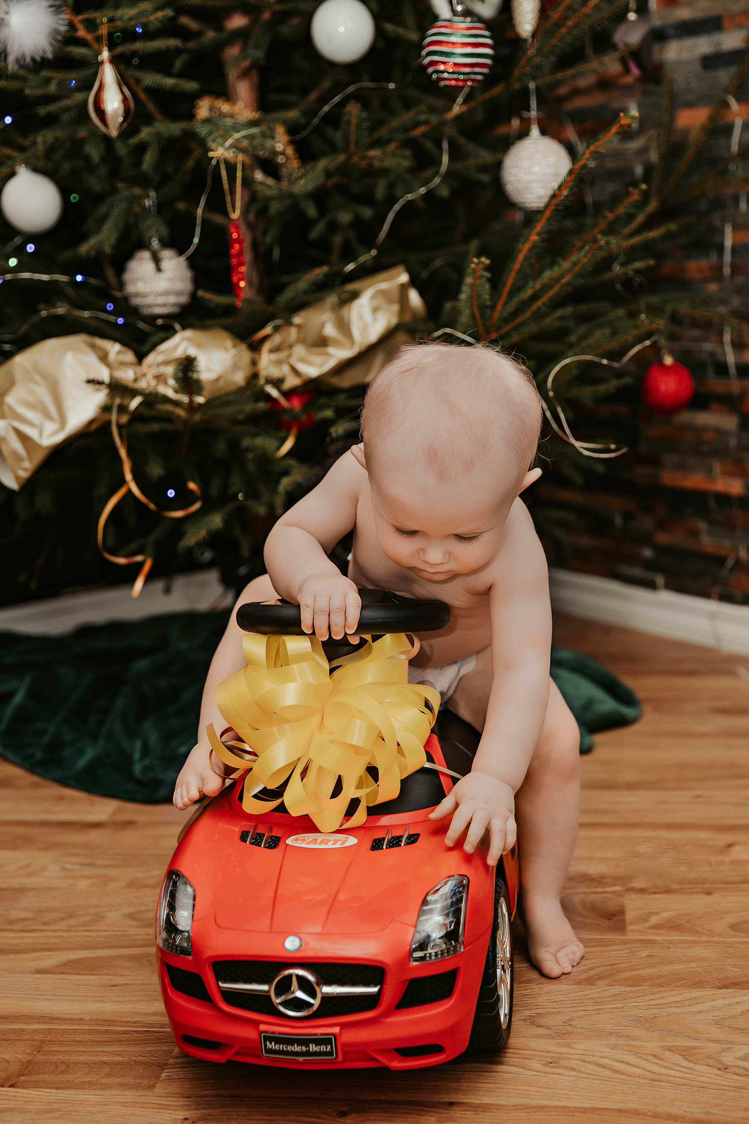 Леон, Бруно и Гвидо. ФОТОГРАФ |ЛАТВИЯ | ДАУГАВПИЛС|