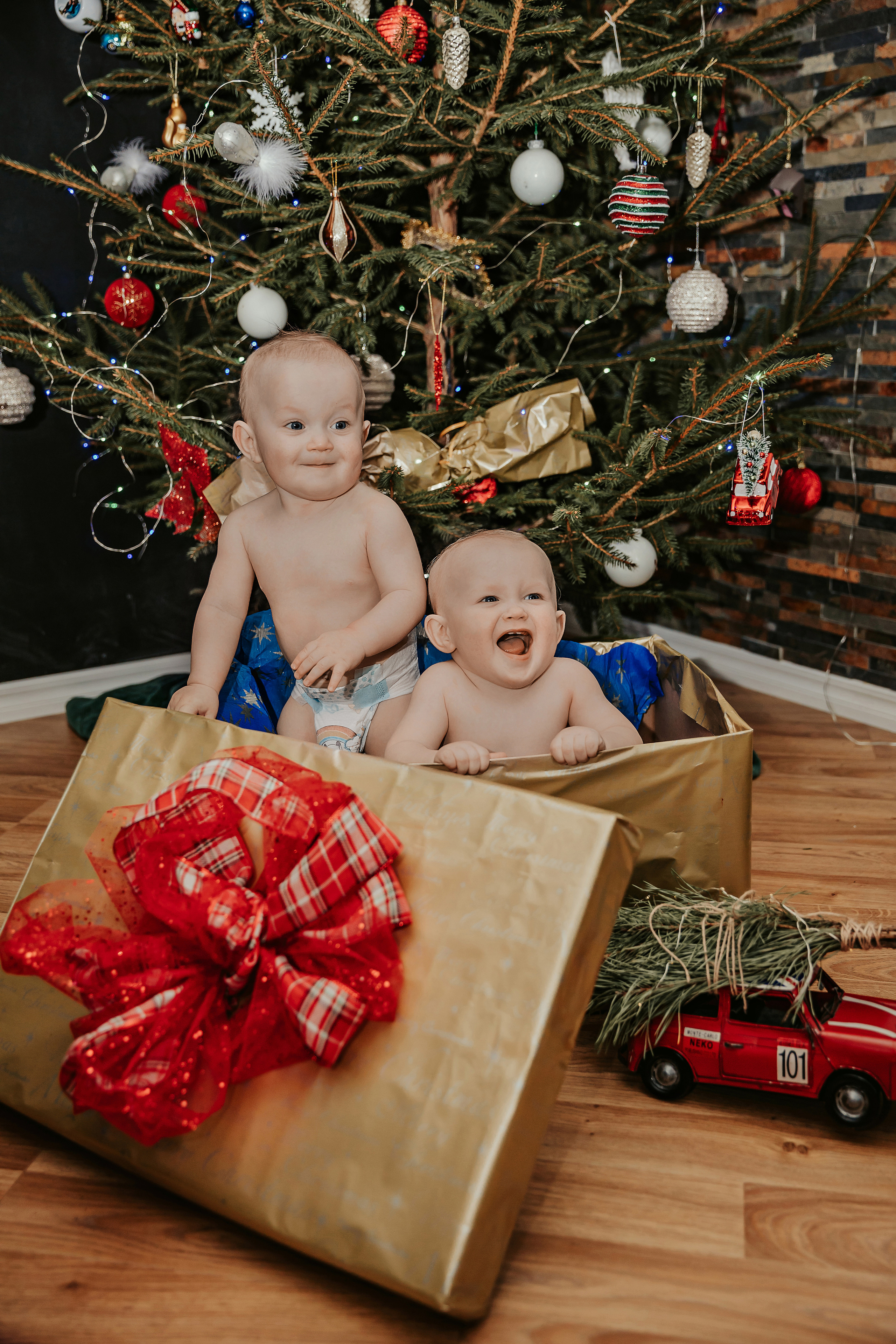 Леон, Бруно и Гвидо. ФОТОГРАФ |ЛАТВИЯ | ДАУГАВПИЛС|