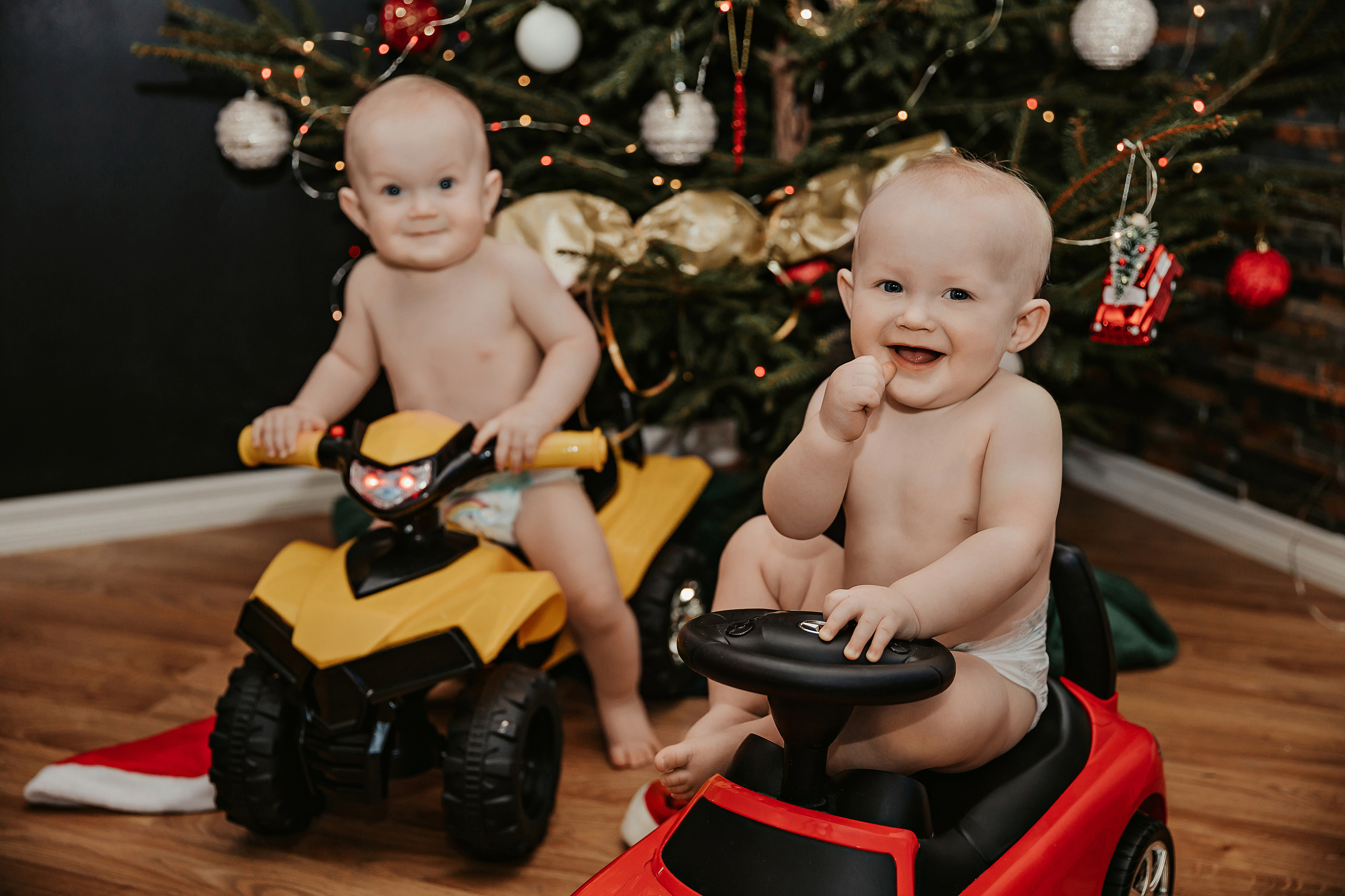 Леон, Бруно и Гвидо. ФОТОГРАФ |ЛАТВИЯ | ДАУГАВПИЛС|