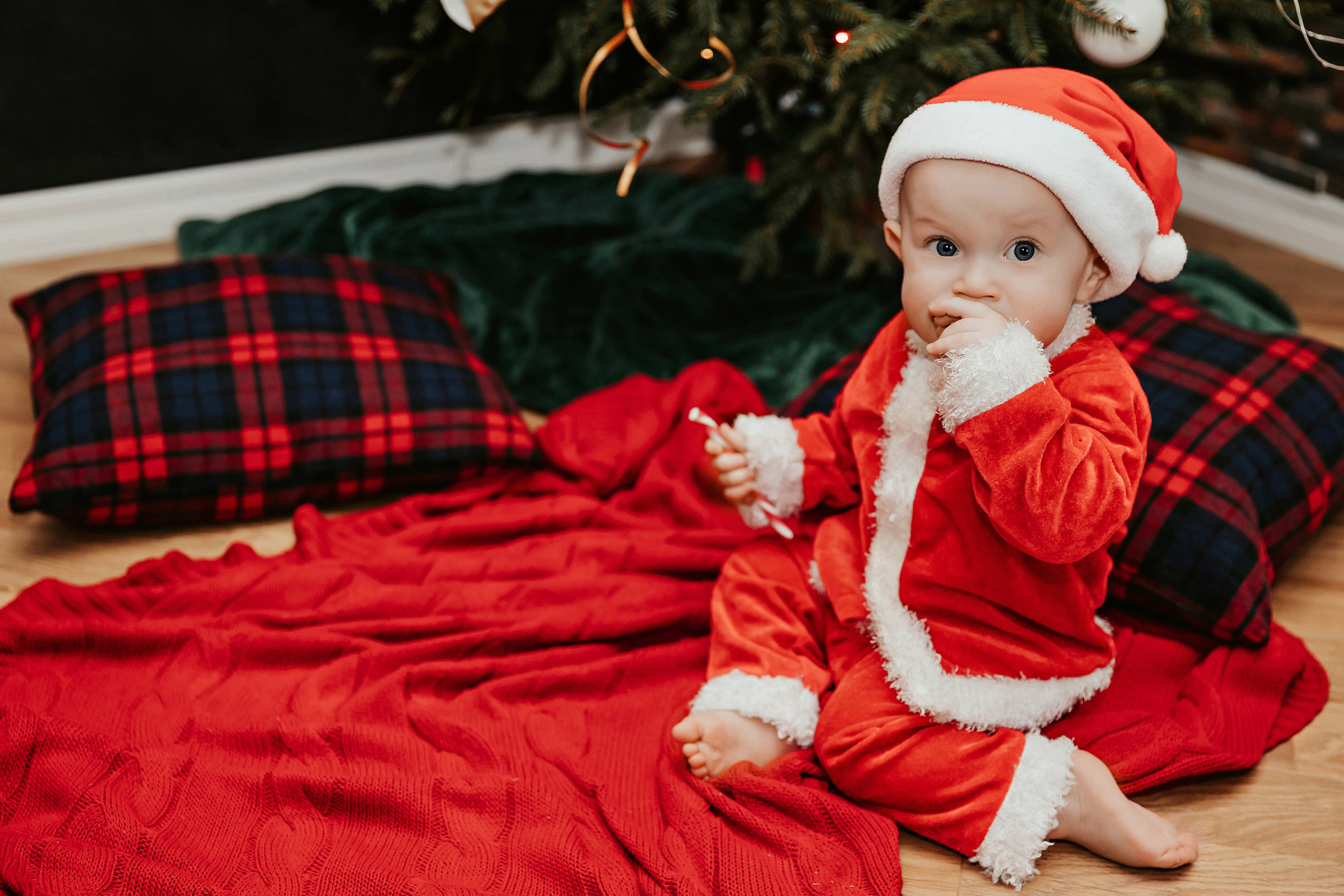 Леон, Бруно и Гвидо. ФОТОГРАФ |ЛАТВИЯ | ДАУГАВПИЛС|