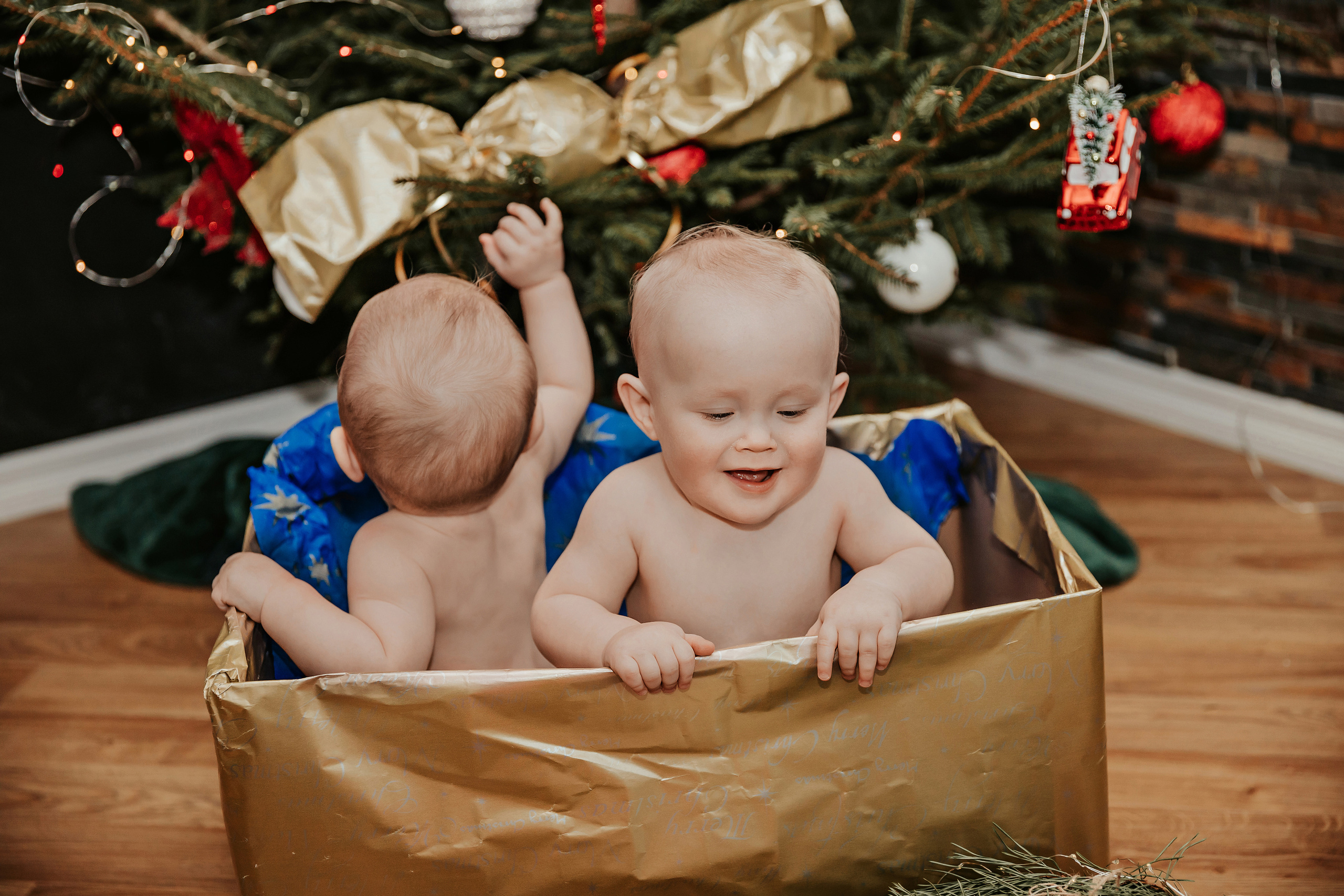 Леон, Бруно и Гвидо. ФОТОГРАФ |ЛАТВИЯ | ДАУГАВПИЛС|