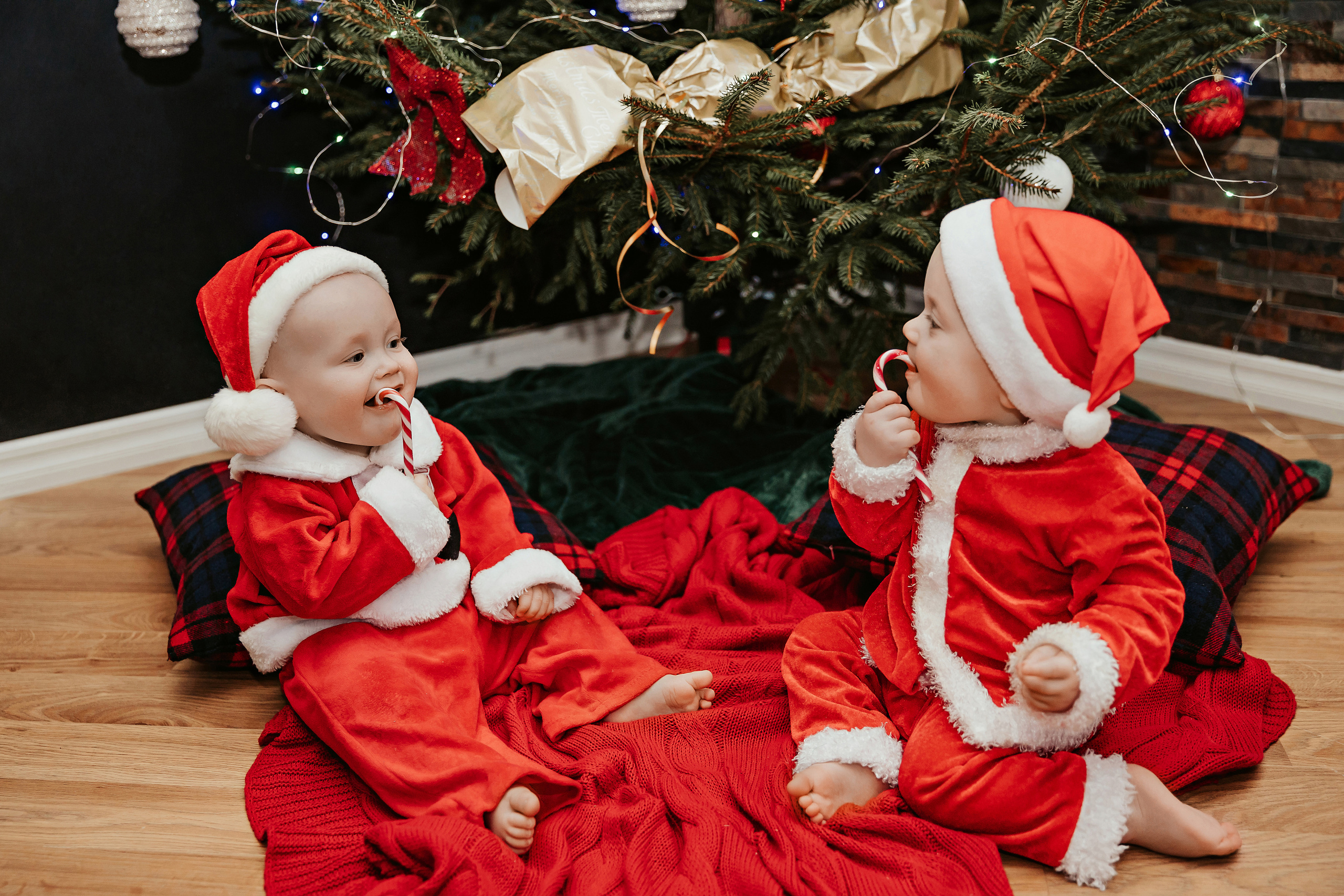 Леон, Бруно и Гвидо. ФОТОГРАФ |ЛАТВИЯ | ДАУГАВПИЛС|