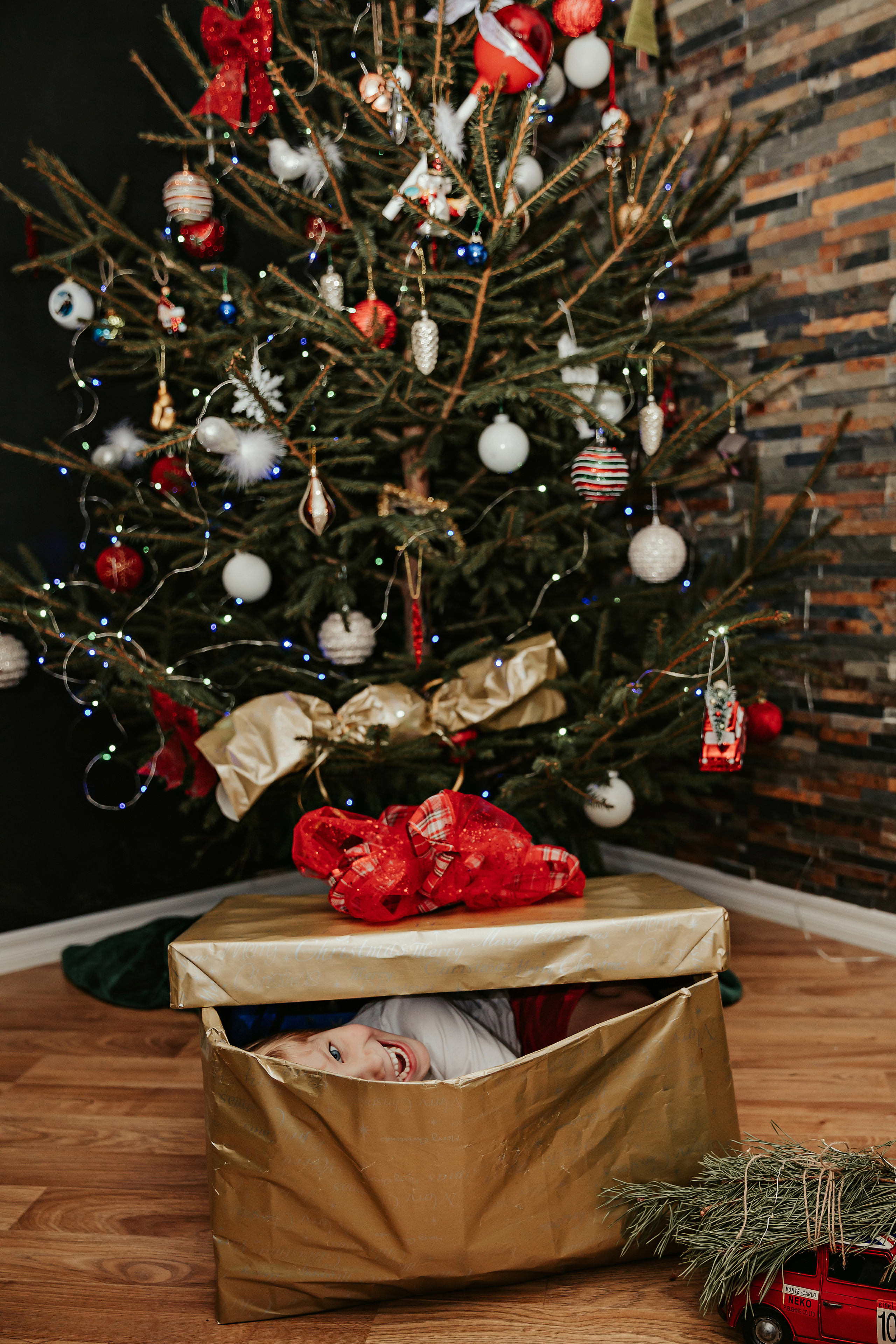 Леон, Бруно и Гвидо. ФОТОГРАФ |ЛАТВИЯ | ДАУГАВПИЛС|