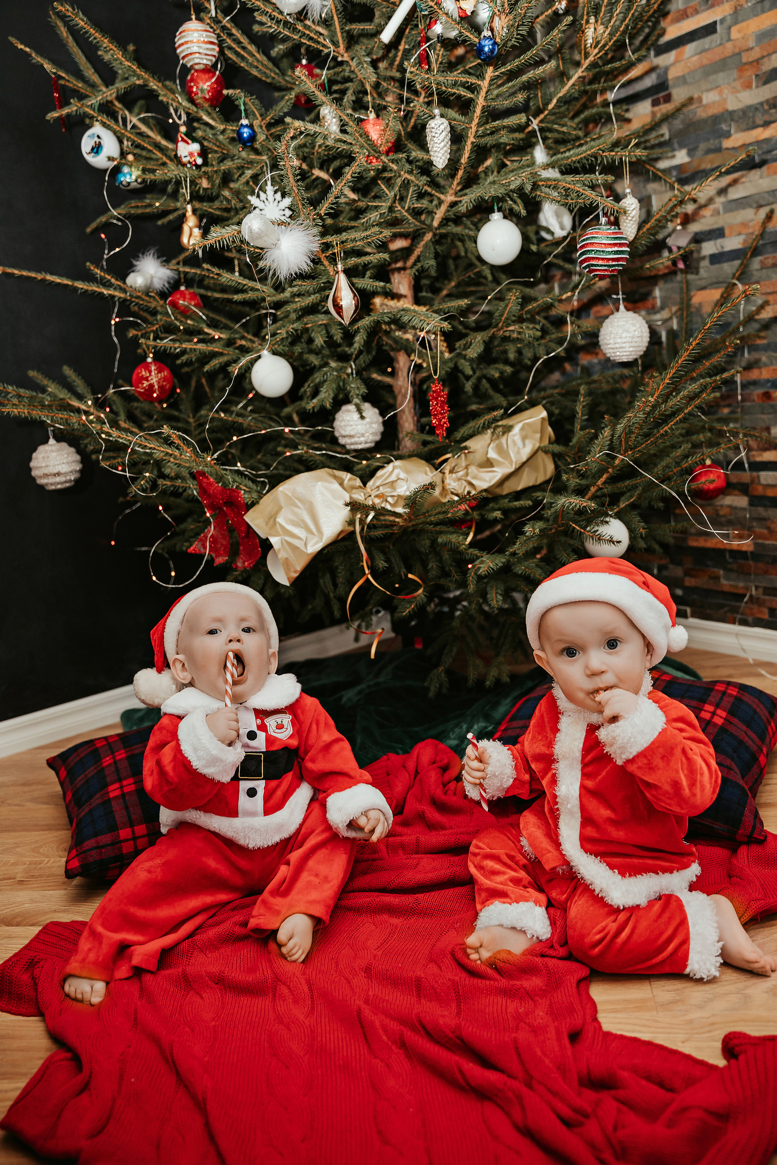 Леон, Бруно и Гвидо. ФОТОГРАФ |ЛАТВИЯ | ДАУГАВПИЛС|