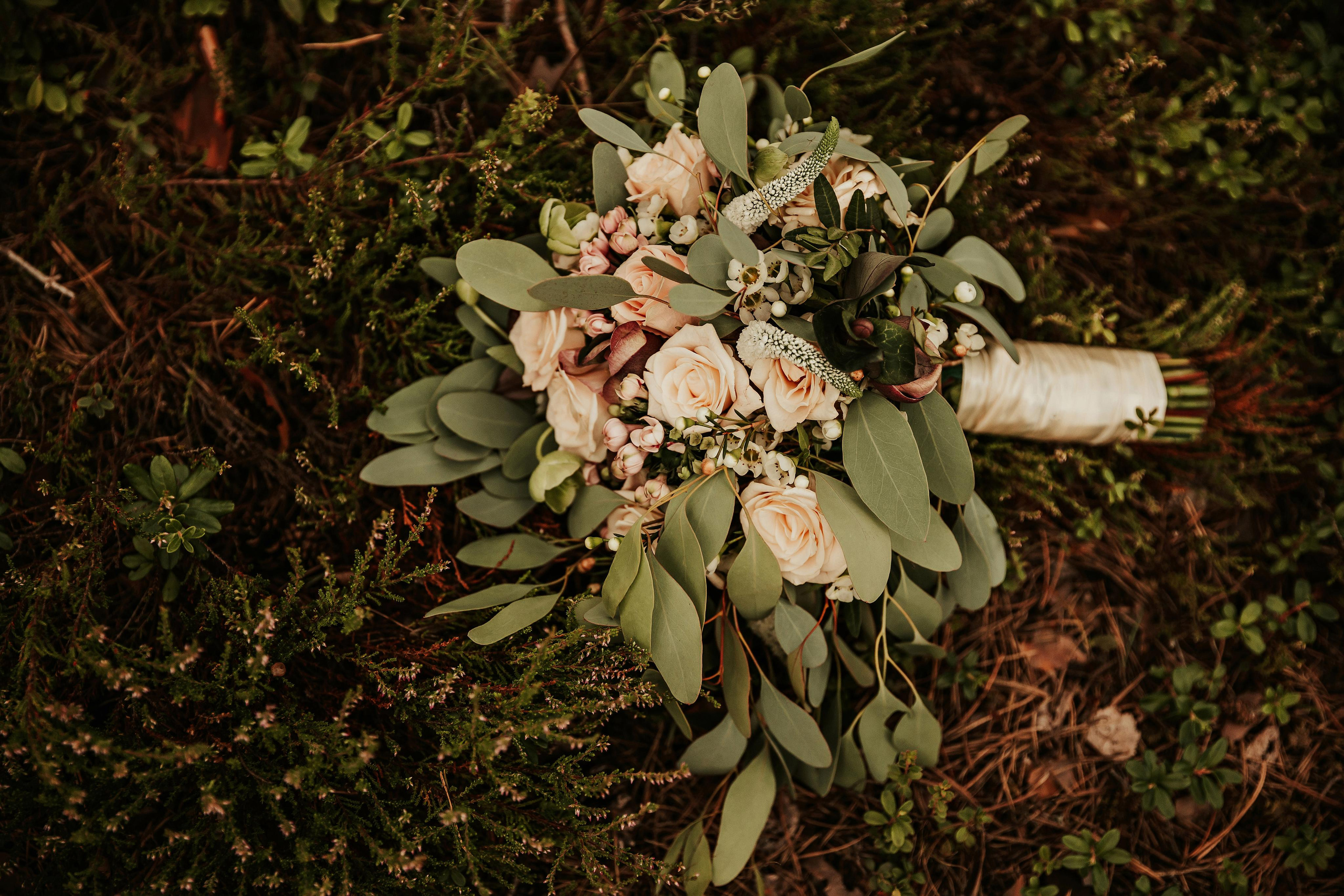 Katrīna & Kristers. ФОТОГРАФ |ЛАТВИЯ | ДАУГАВПИЛС|