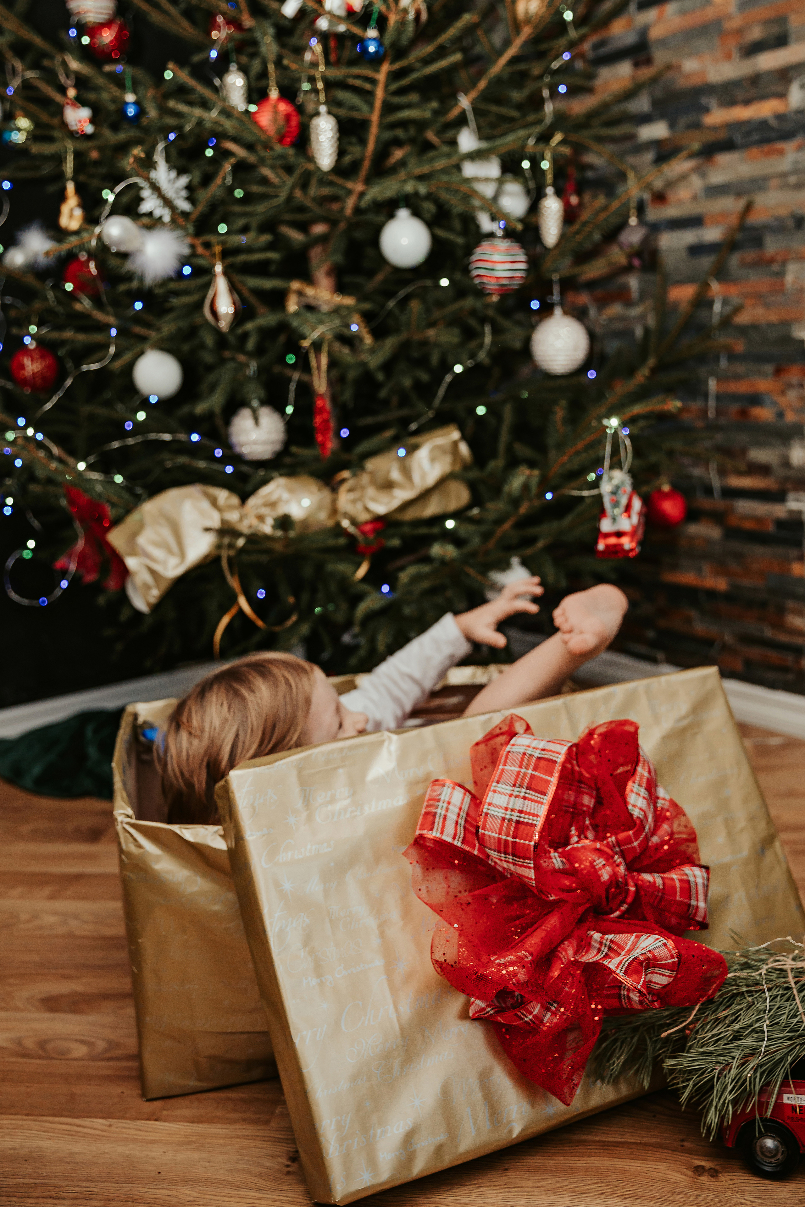 Леон, Бруно и Гвидо. ФОТОГРАФ |ЛАТВИЯ | ДАУГАВПИЛС|