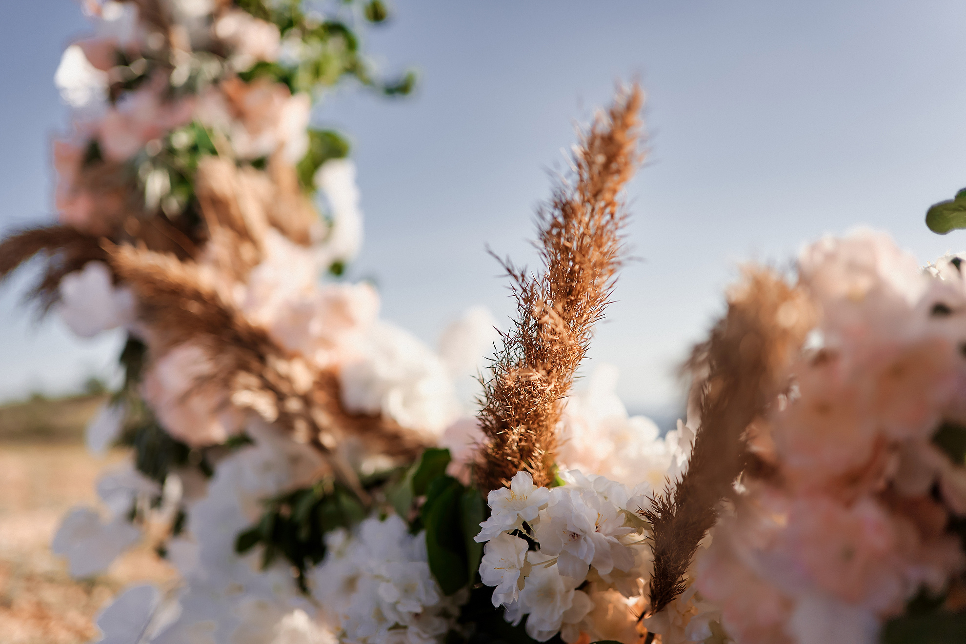 Dmitry & Lily. Professional Wedding and event photographer USA New York