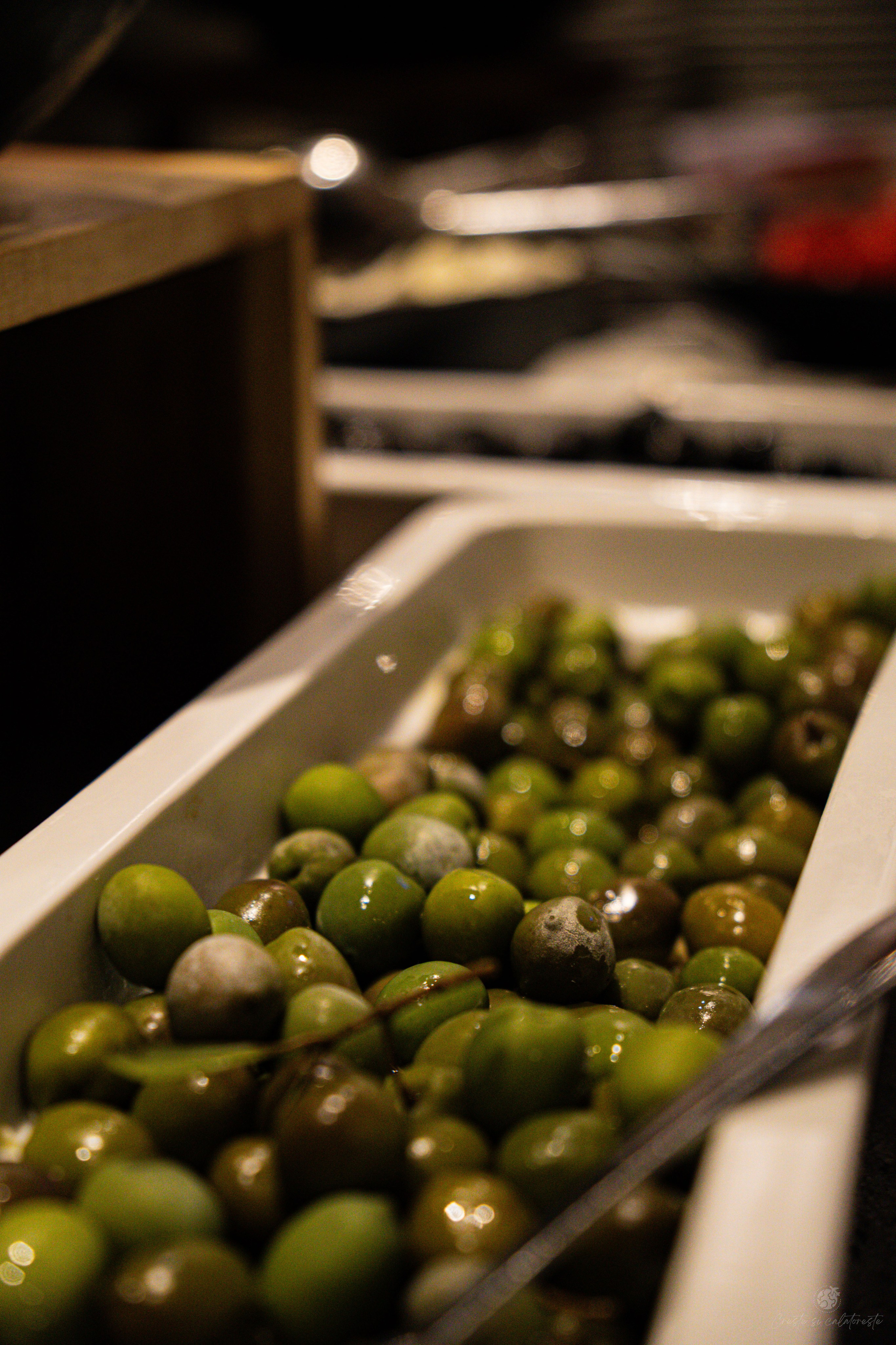 Ana Hotels. Creste si calatoreste