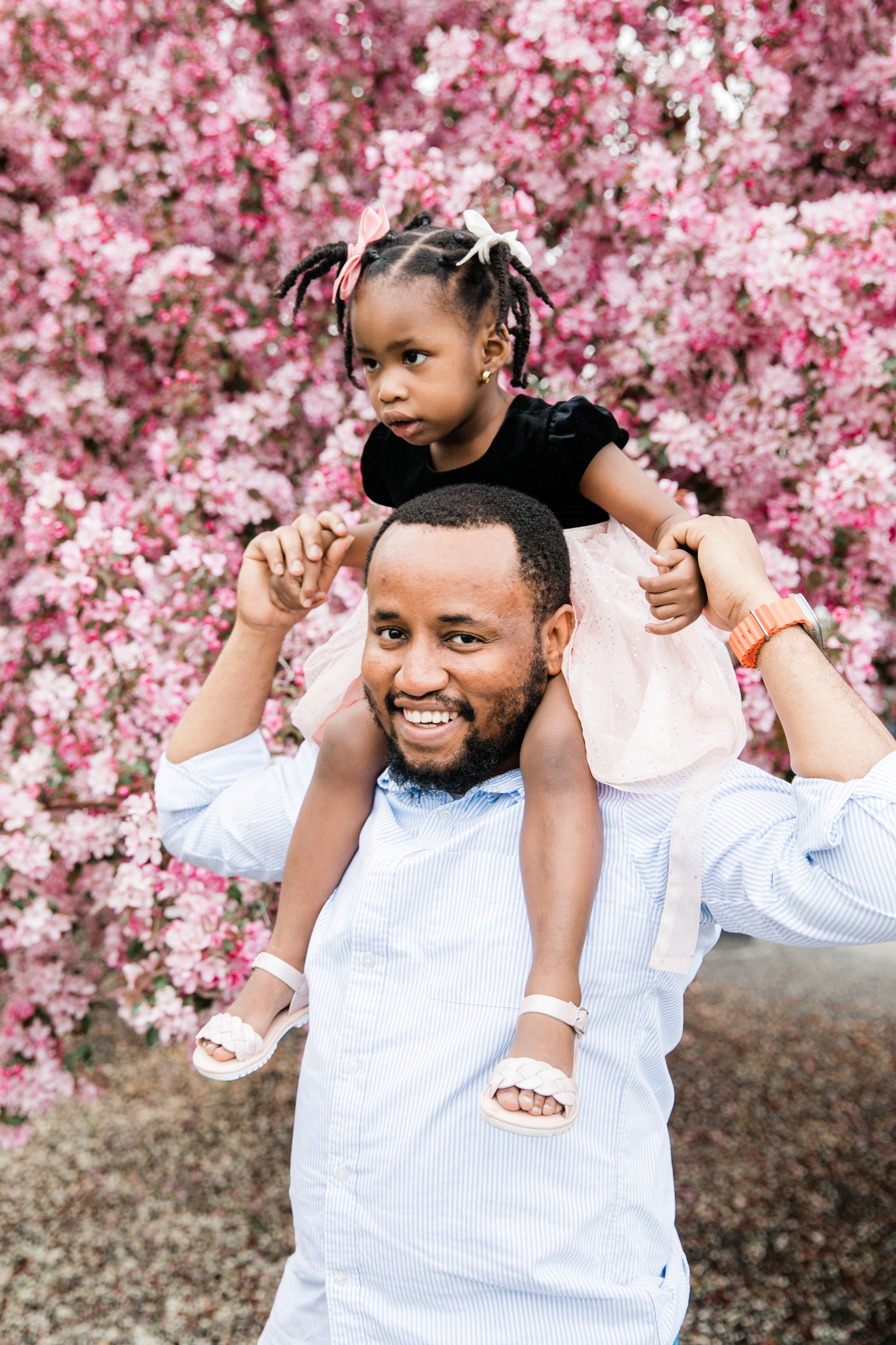 Cherry Blossom — Ester Family. Ching Li Photography