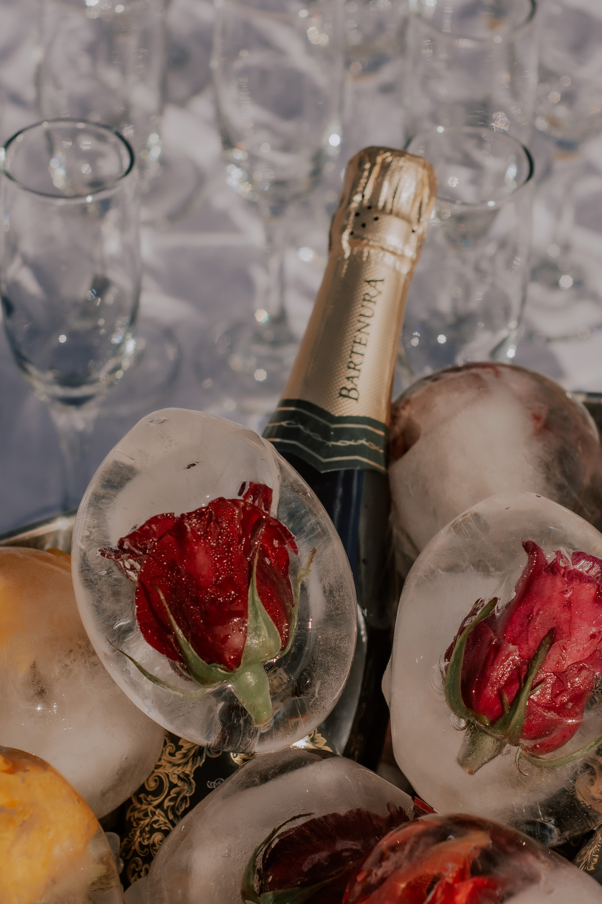 Wedding photography in Miami. Professional portrait photographer in Los Angeles | Axenia Haritonova