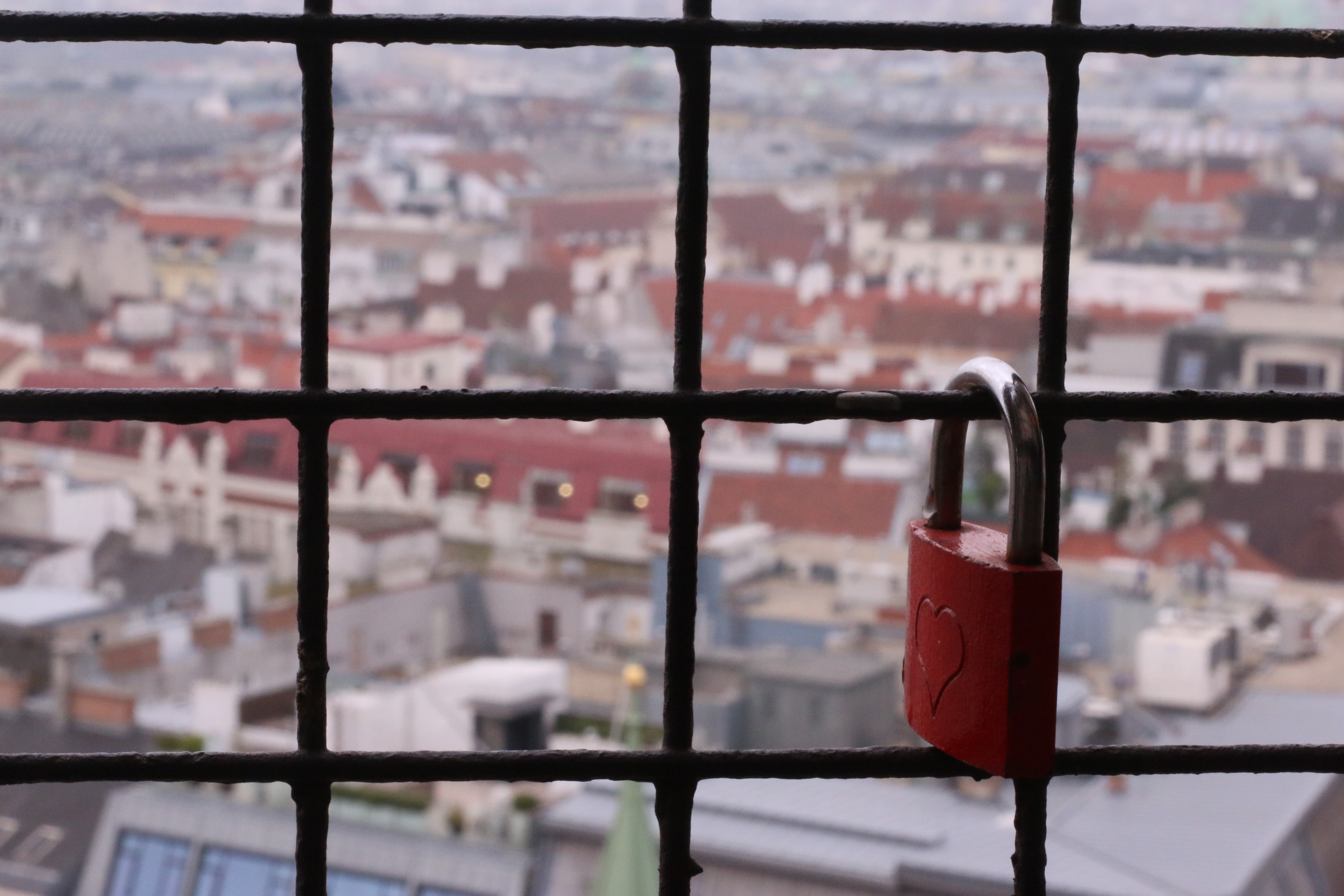 Vienna, Dec.19. Kseny Kolesnik Photography