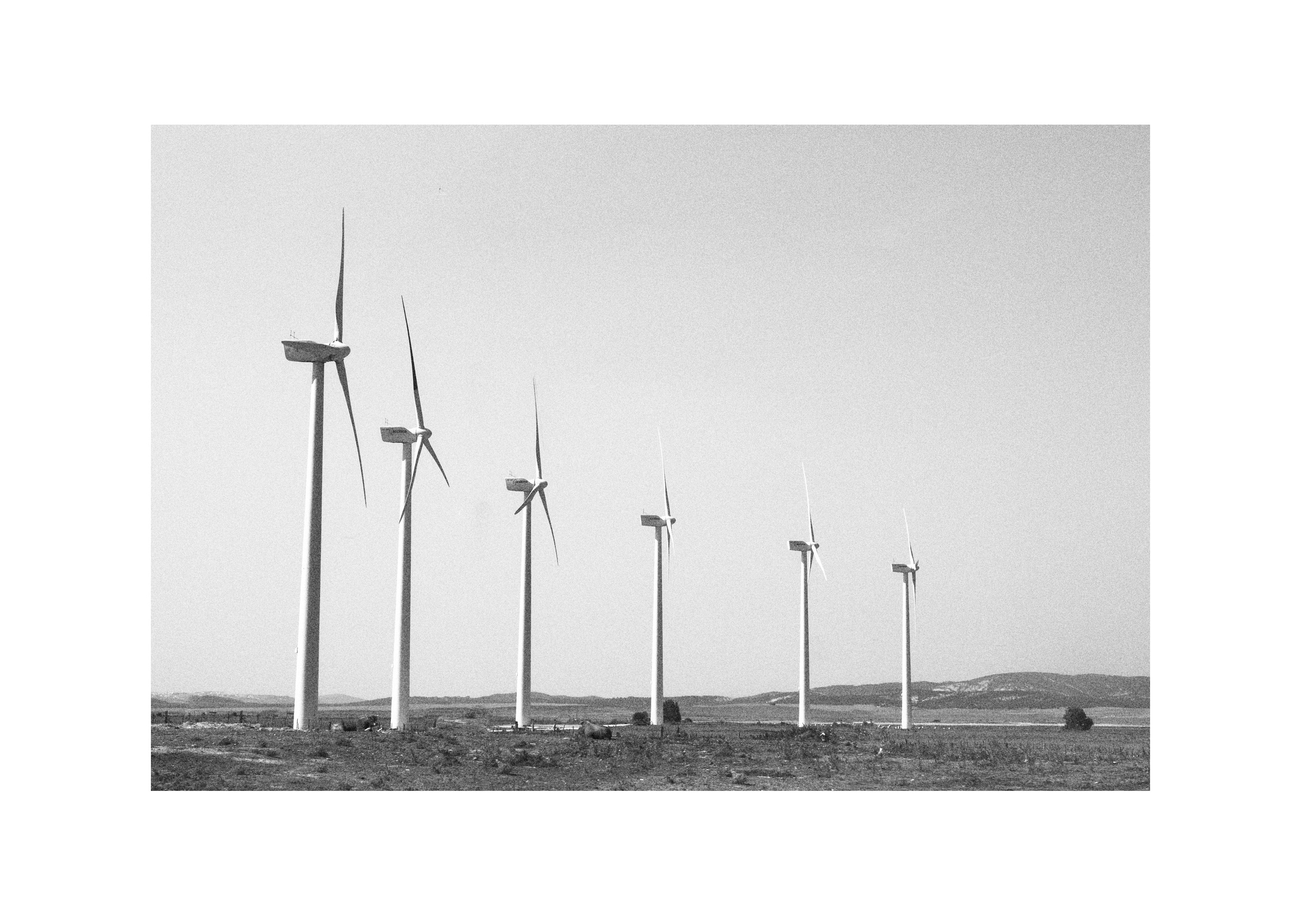 B&W. Cinema that you’ll never see