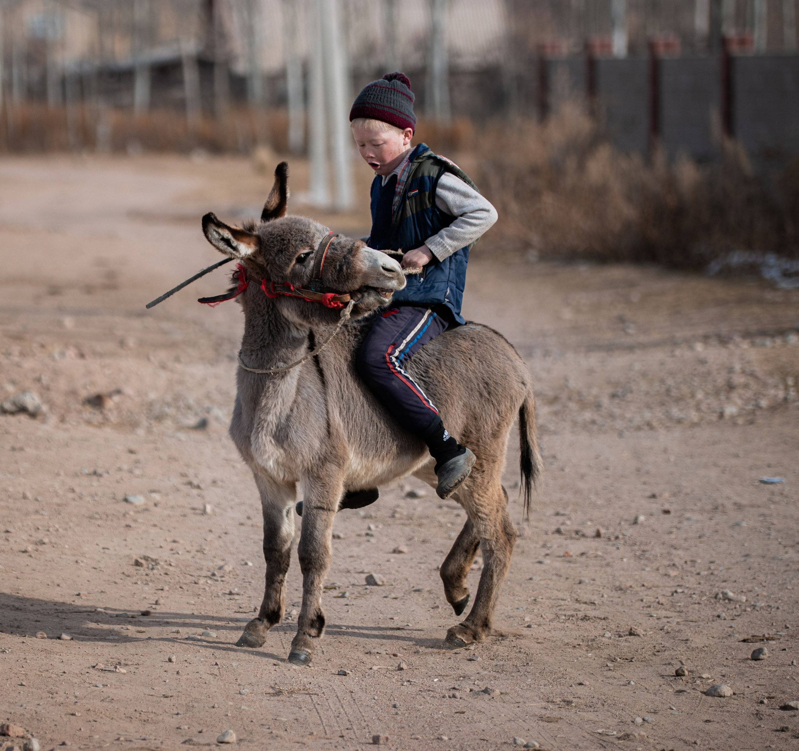 Street. The Photographer