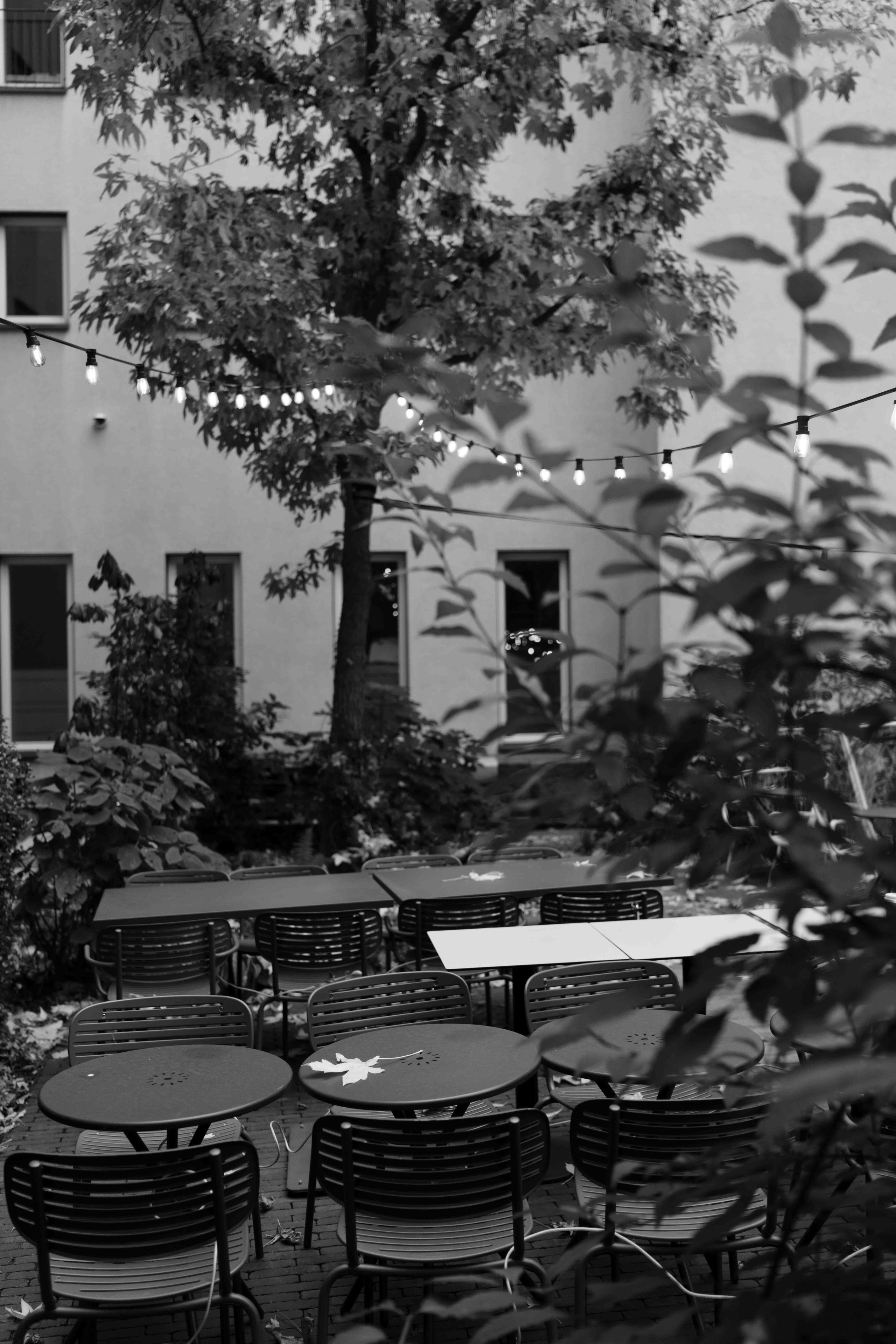 Света 41. Frenkel Nadja Fotograf in Darmstadt|Frankfurt|Wiesbaden