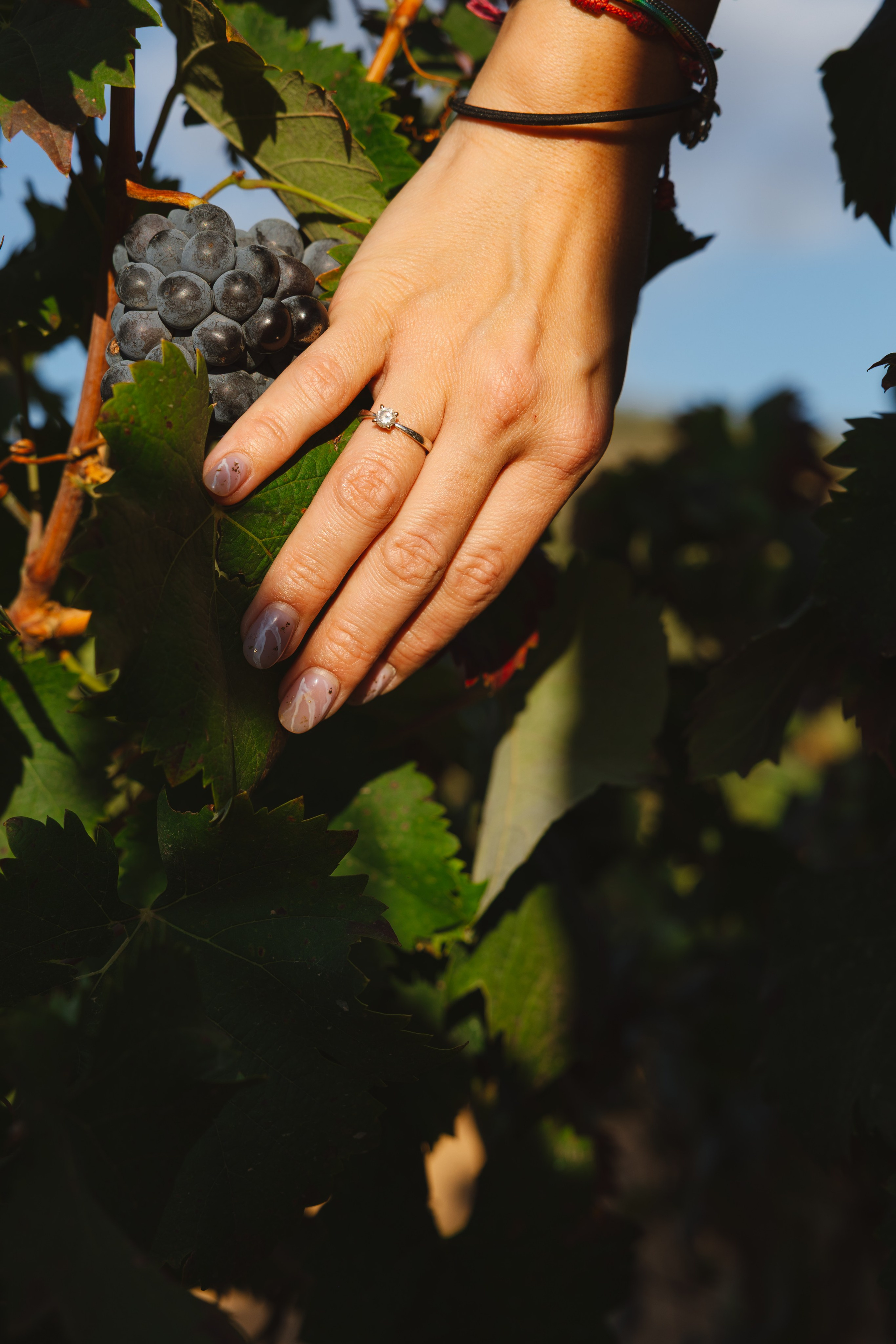 PREBODA ANA CRISTINA Y ROBERTO. Fotógrafo y Videógrafo de bodas y eventos