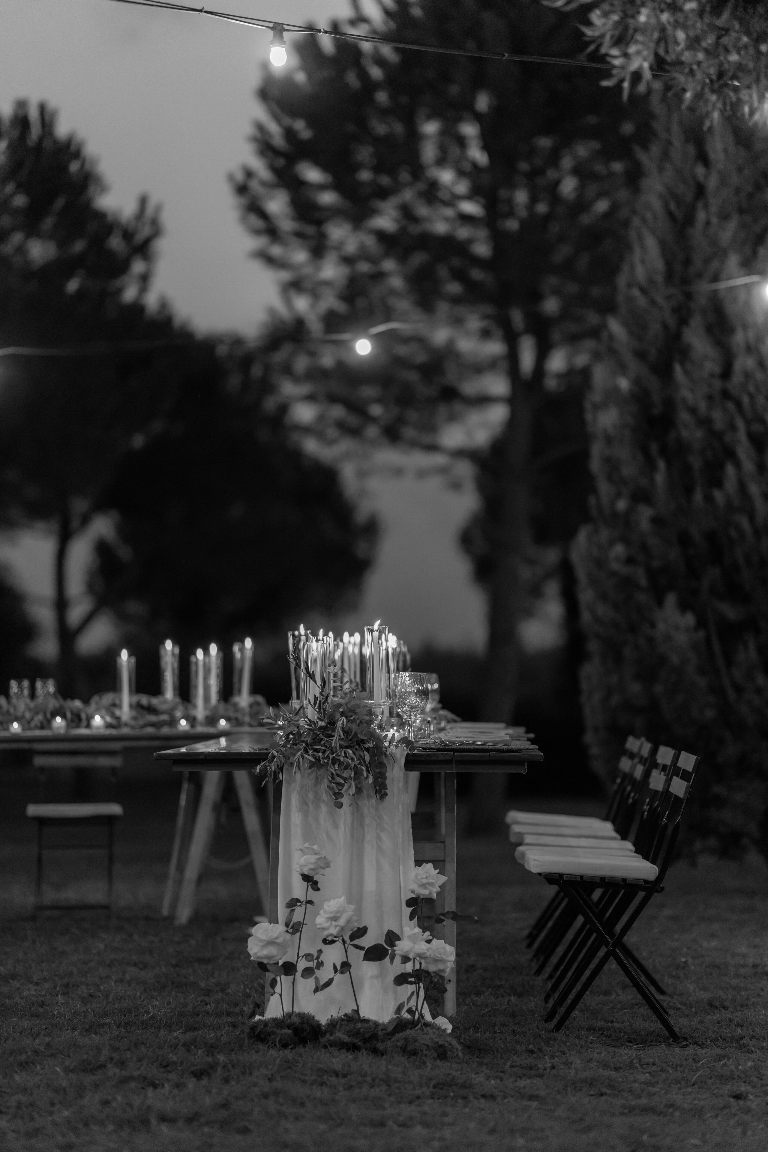 Dom&Ally. Весільний фотограф Вікторія Саврук