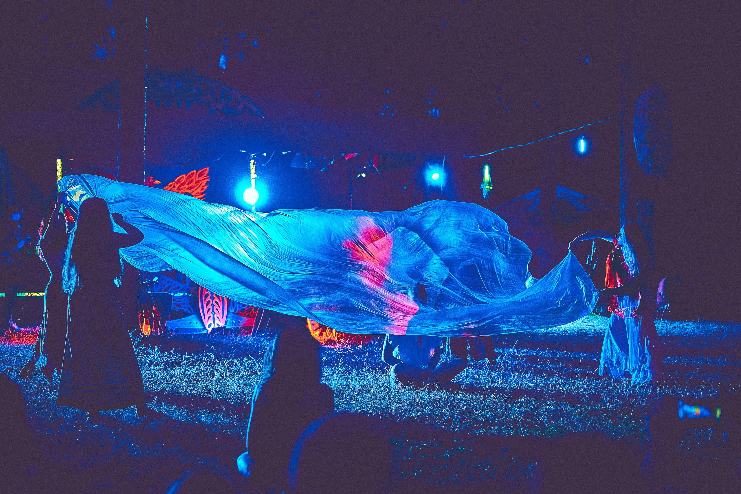 Organic-2025. Andriej Szypilow — Photography & Videography