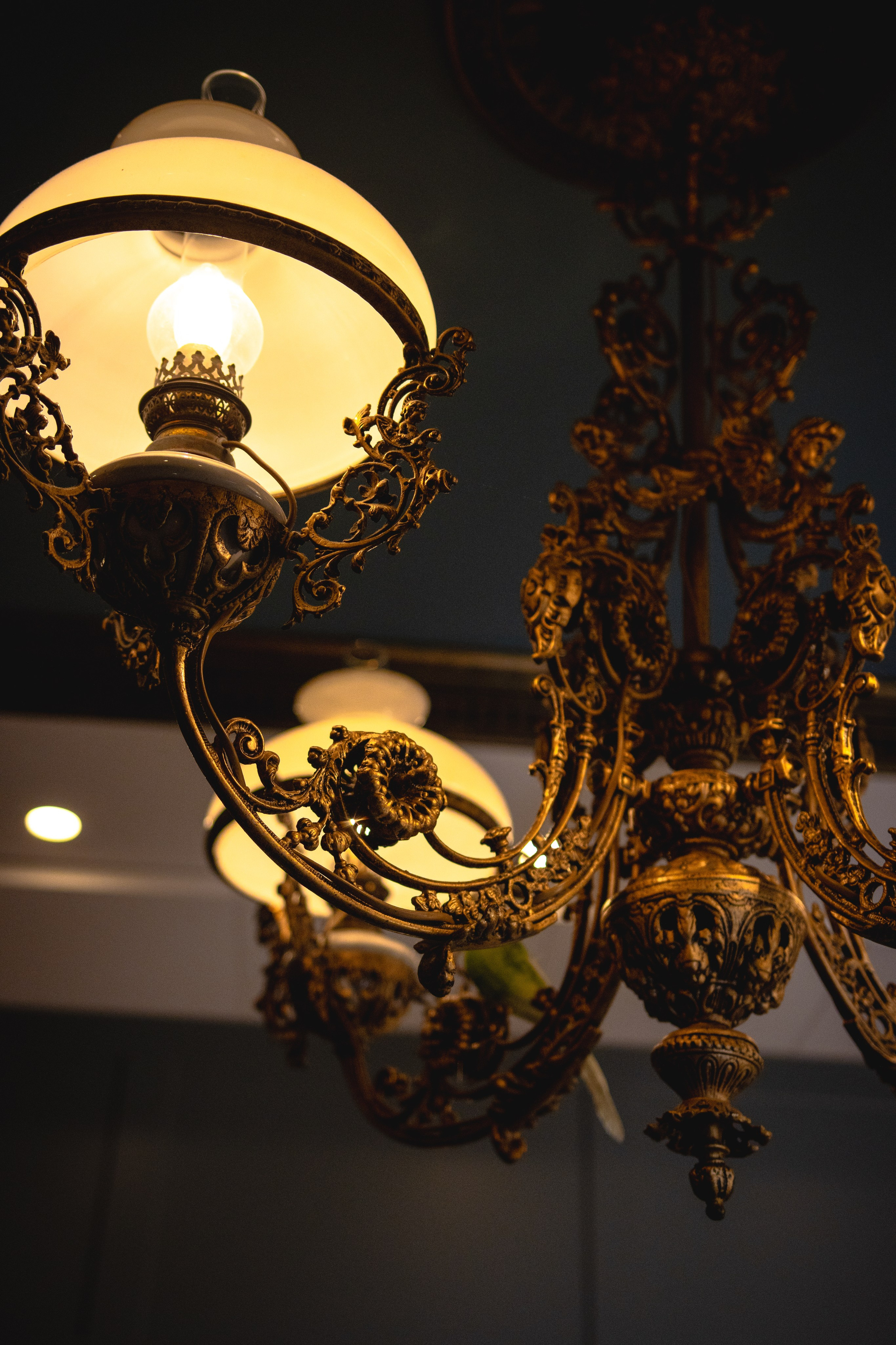 Italian Restaurant. Photographer in Gothenburg Aleksandra Stroganova