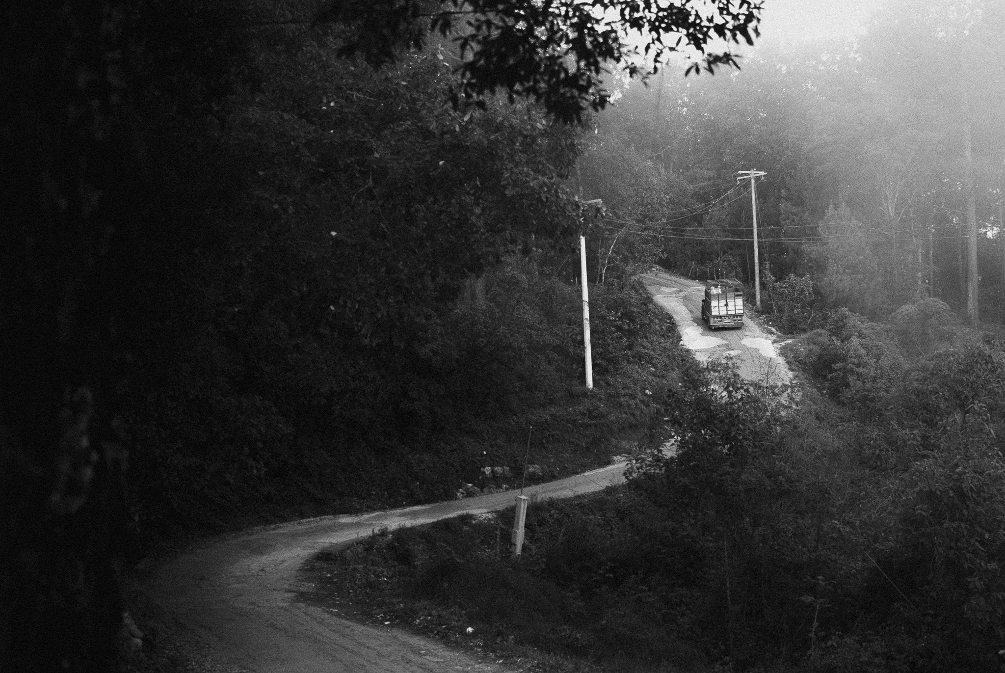 Bosques de San Cristóbal. 2025. Fotógrafo en Villahermosa | ERALPUCHE