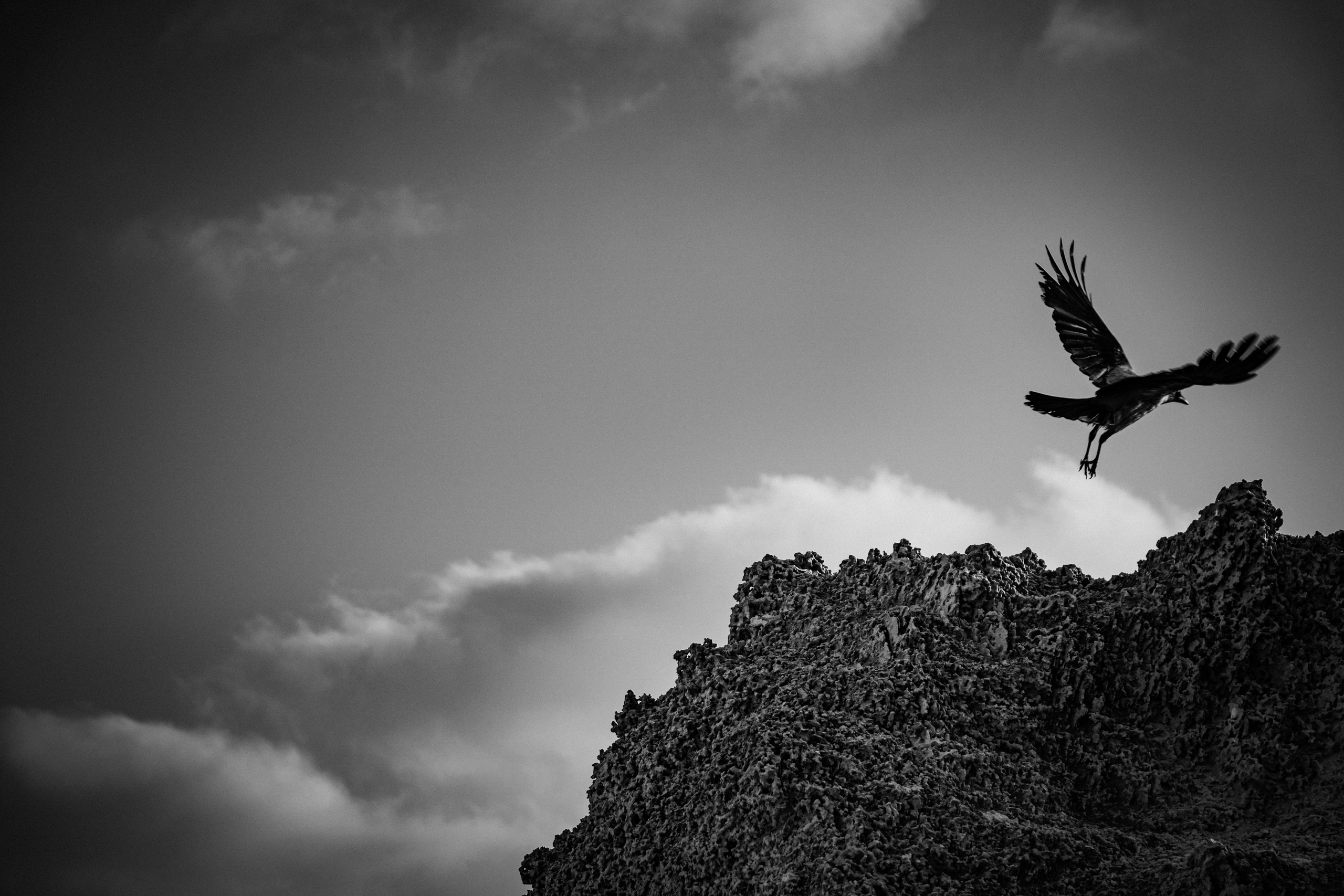 Crow. Главное меню