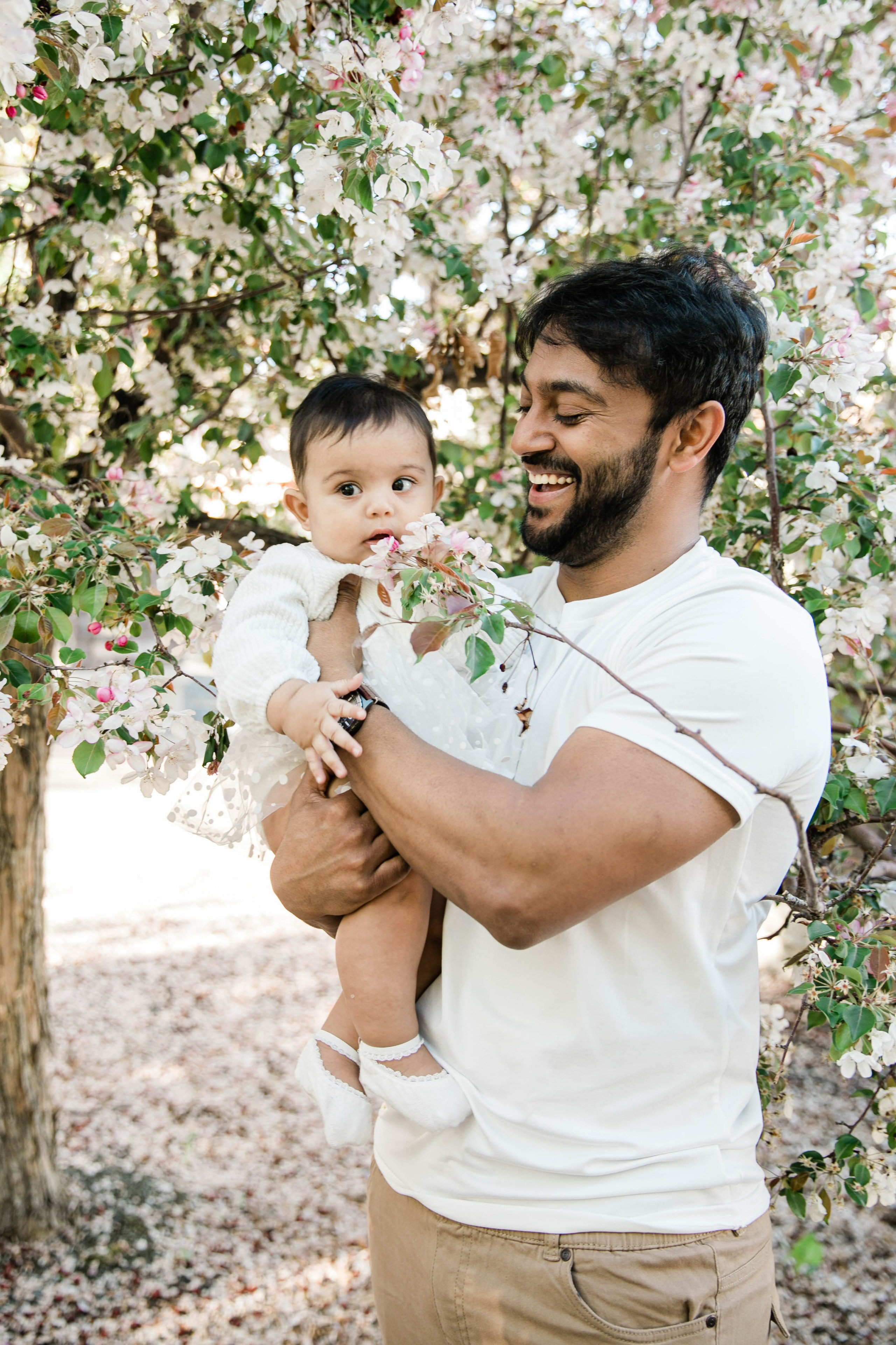 Nabeel Cherry Blossoms. Fotografía accesible en Calgary