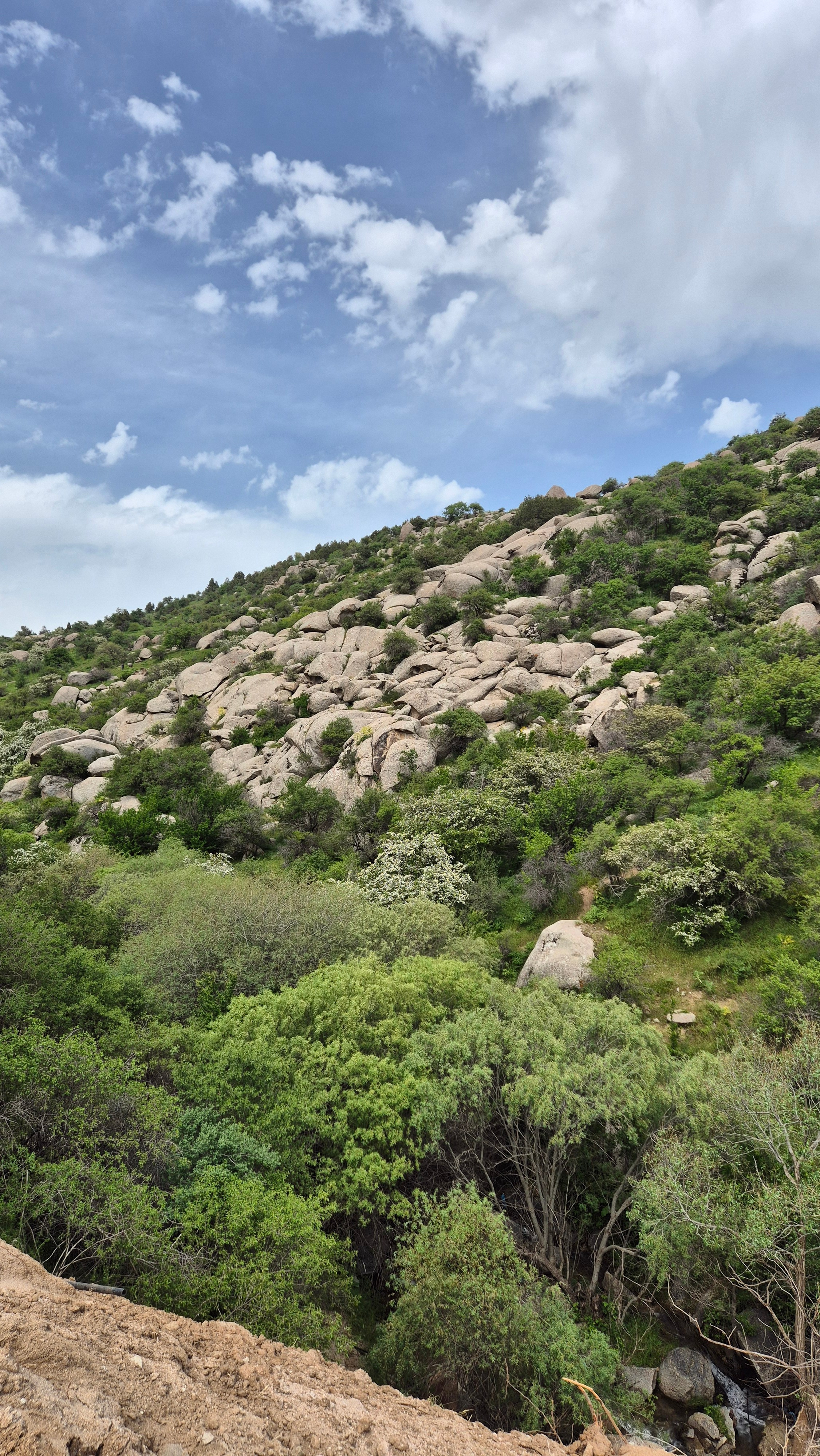Uzbekistan 2024. Photographer Marina, city of Nuremberg