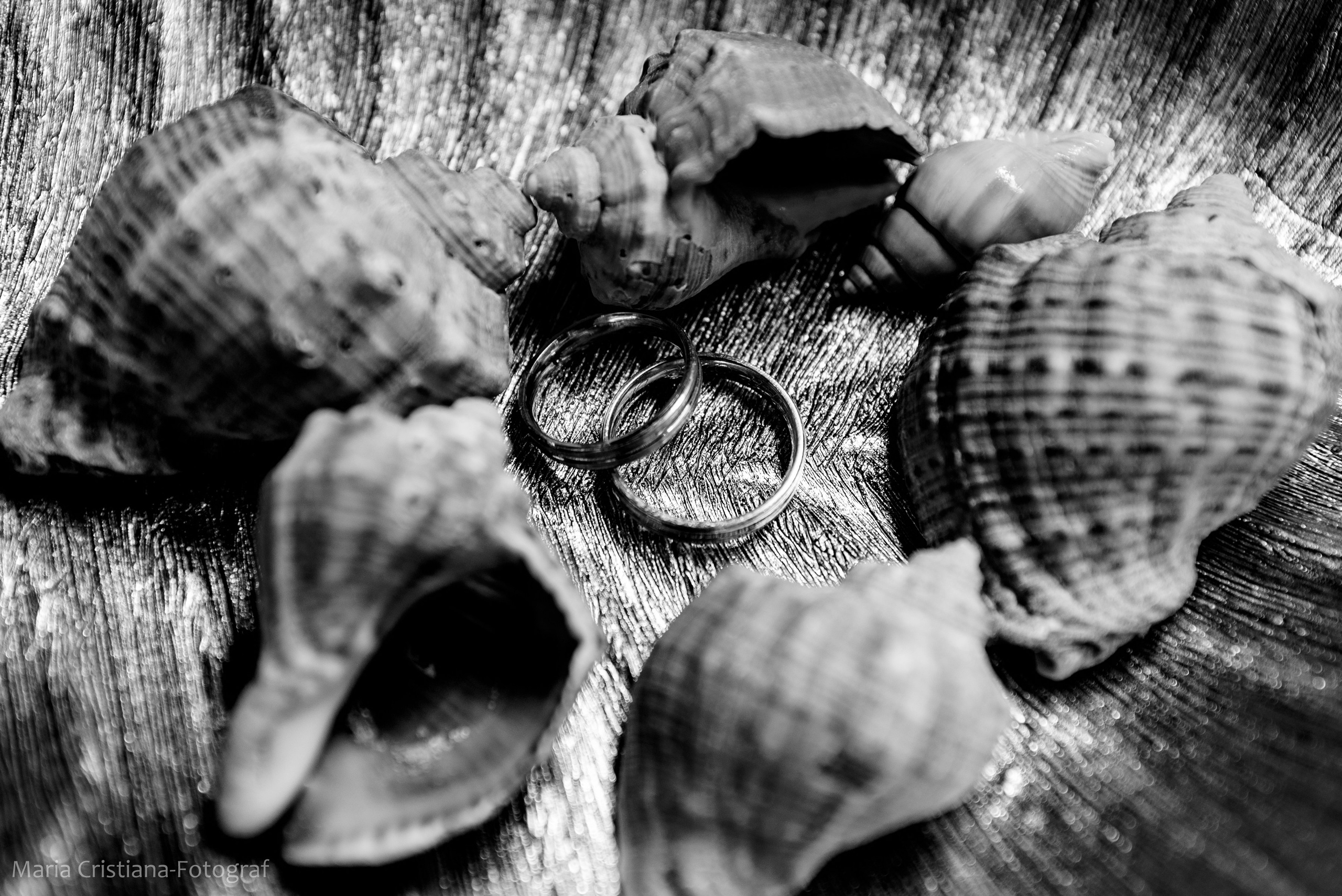 Wedding A&M. Maria Cristiana fotograf