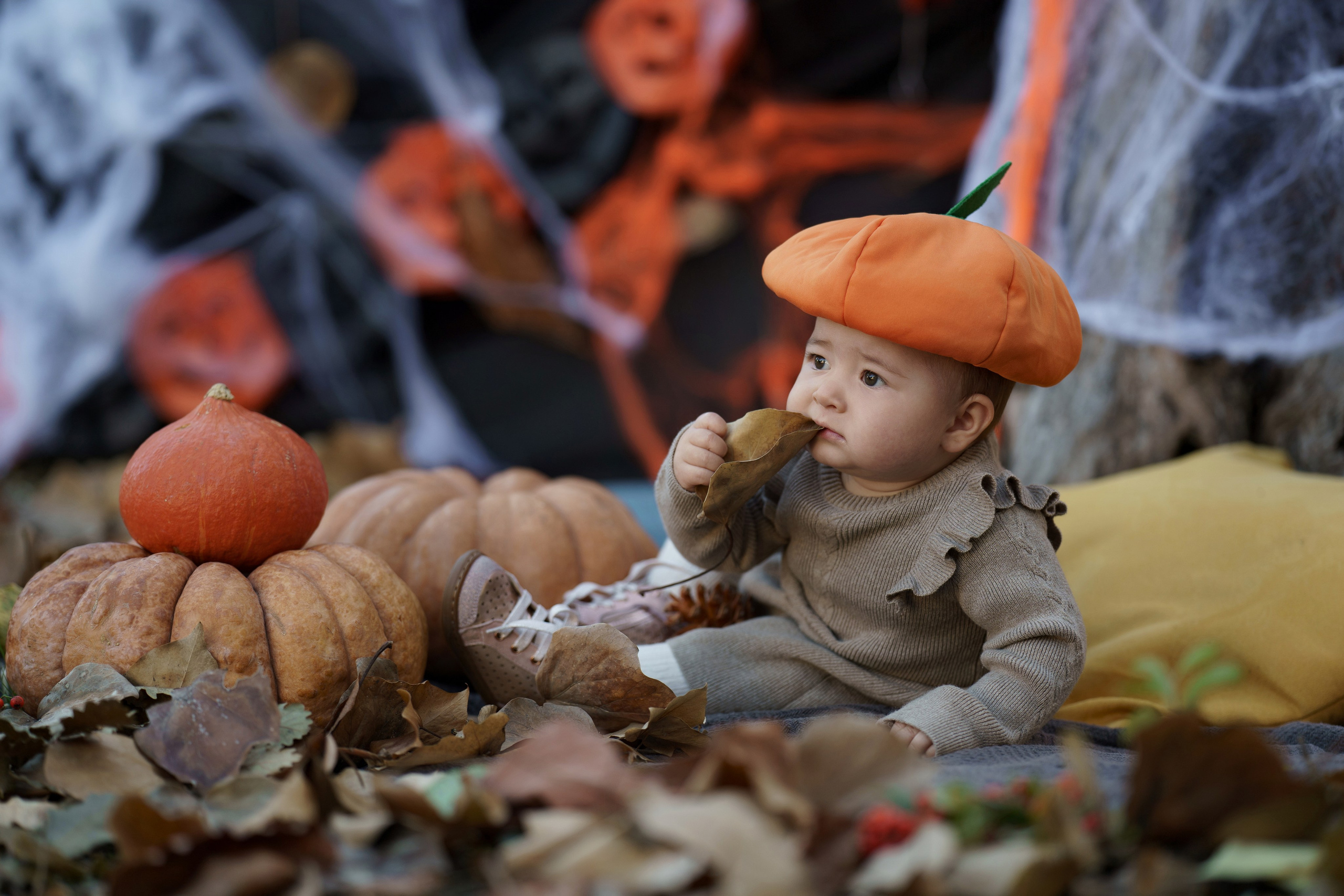 Halloween. Photos by Vechkaeva